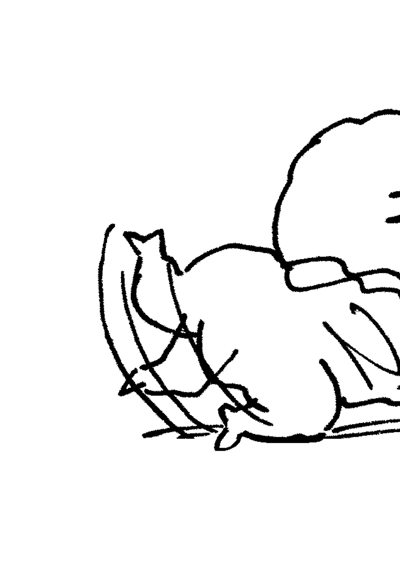 第 58 页