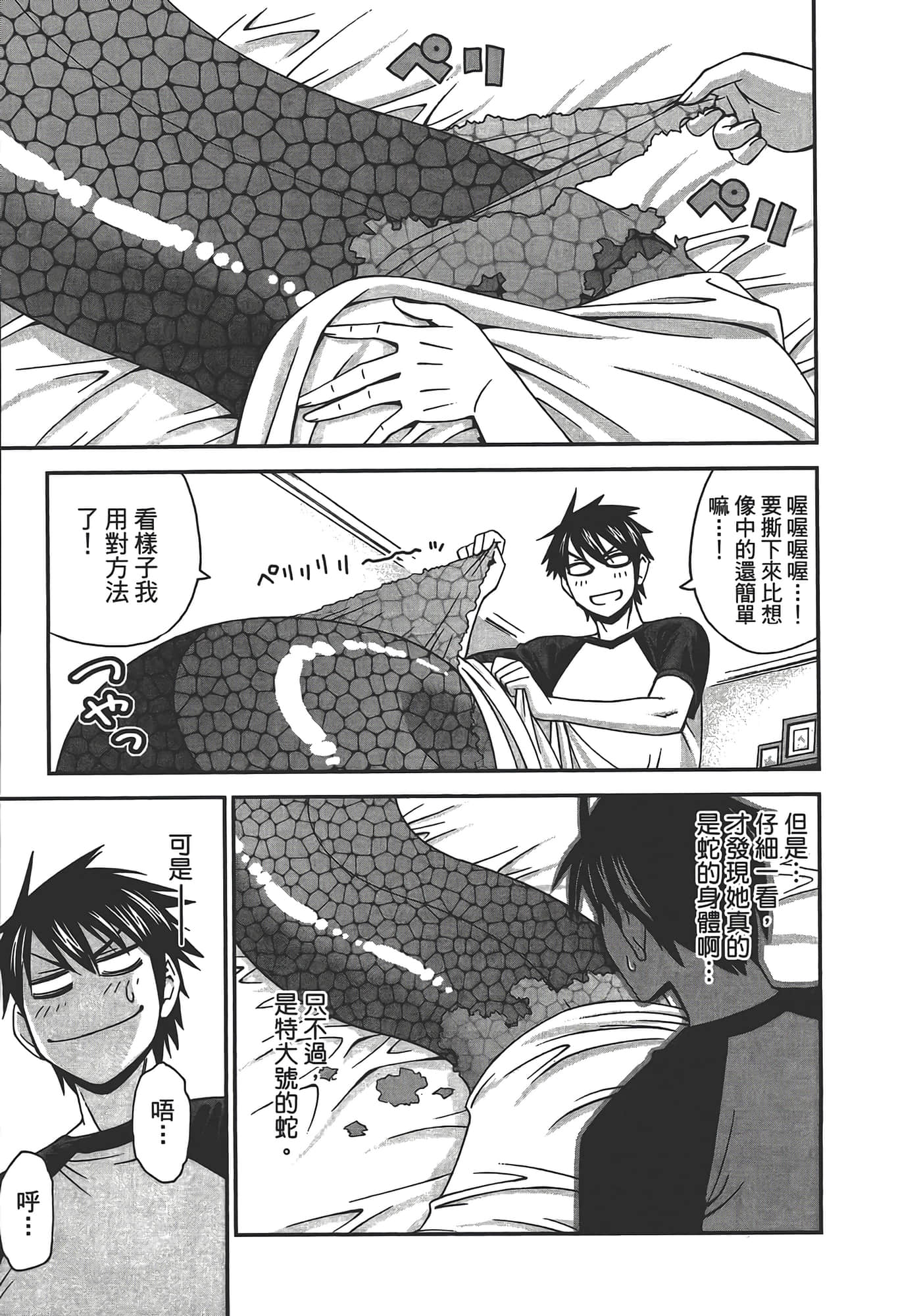 第 51 页