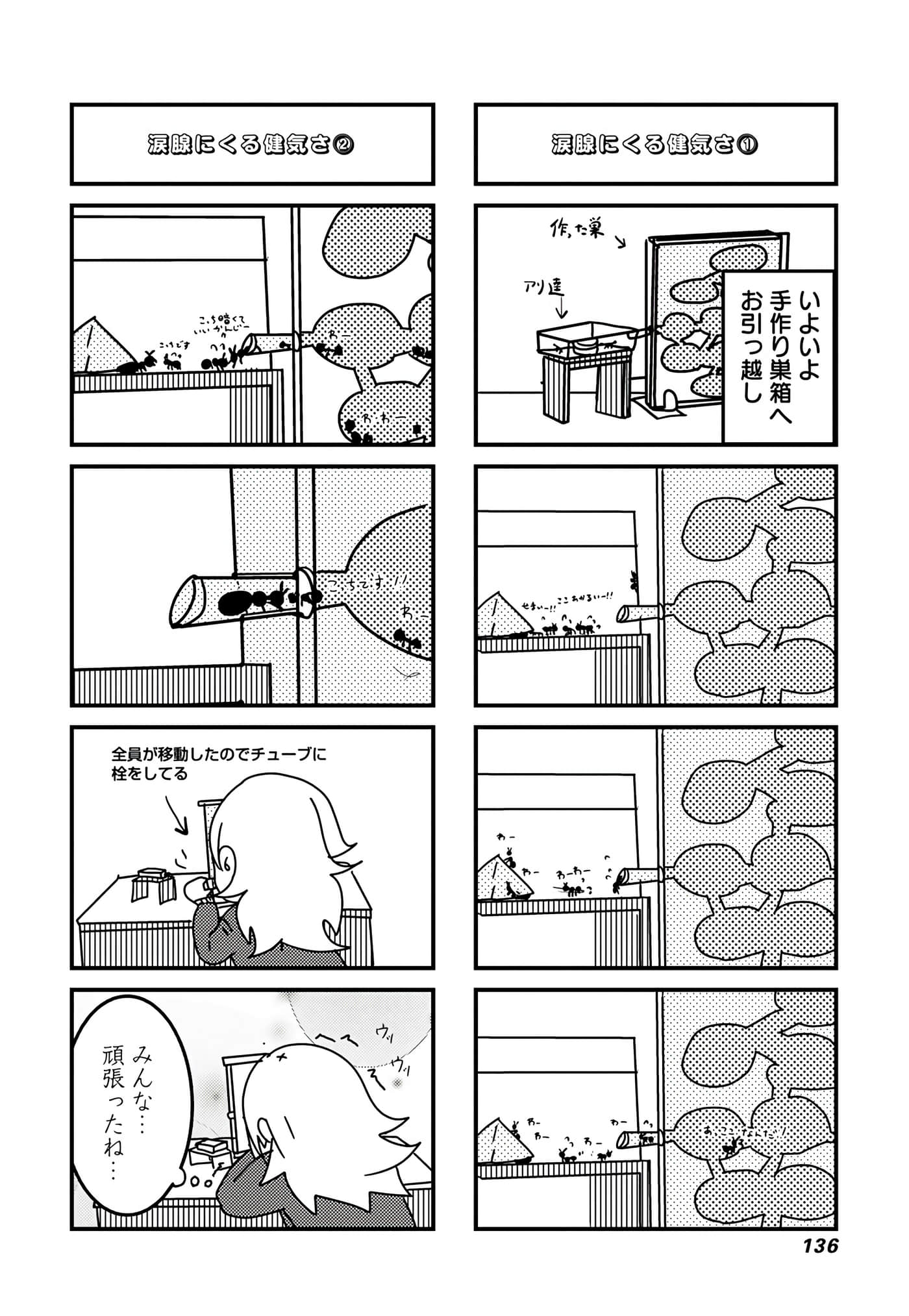第 91 页