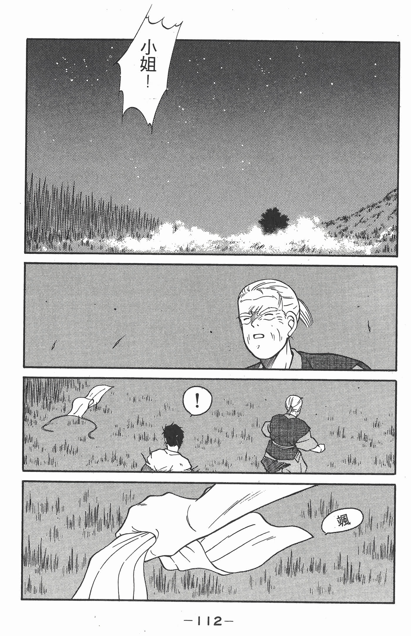 Page 113