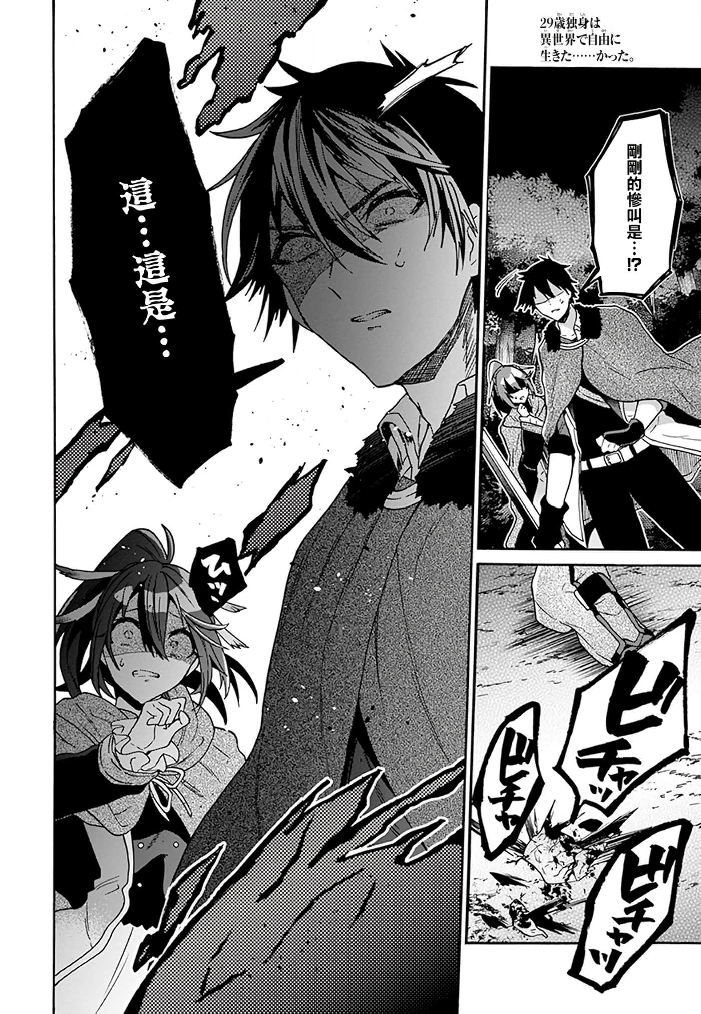 第 29 页