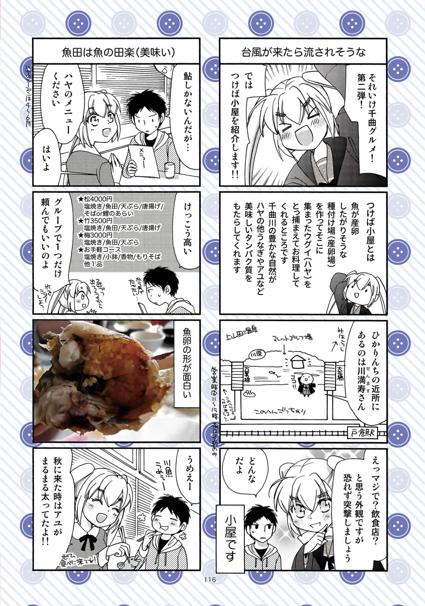 Page 113