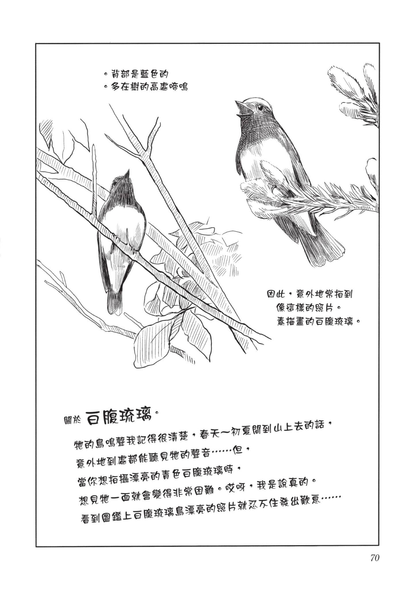Page 71