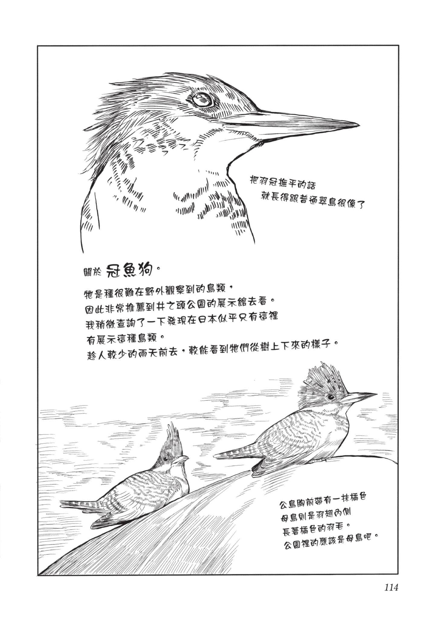 Page 115
