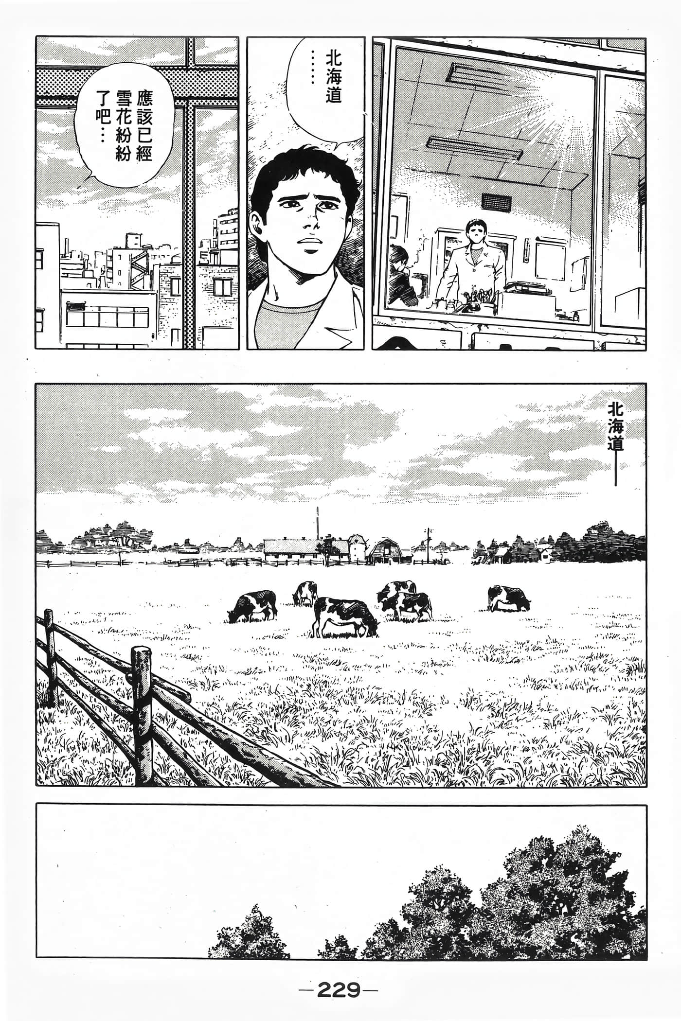 Page 231