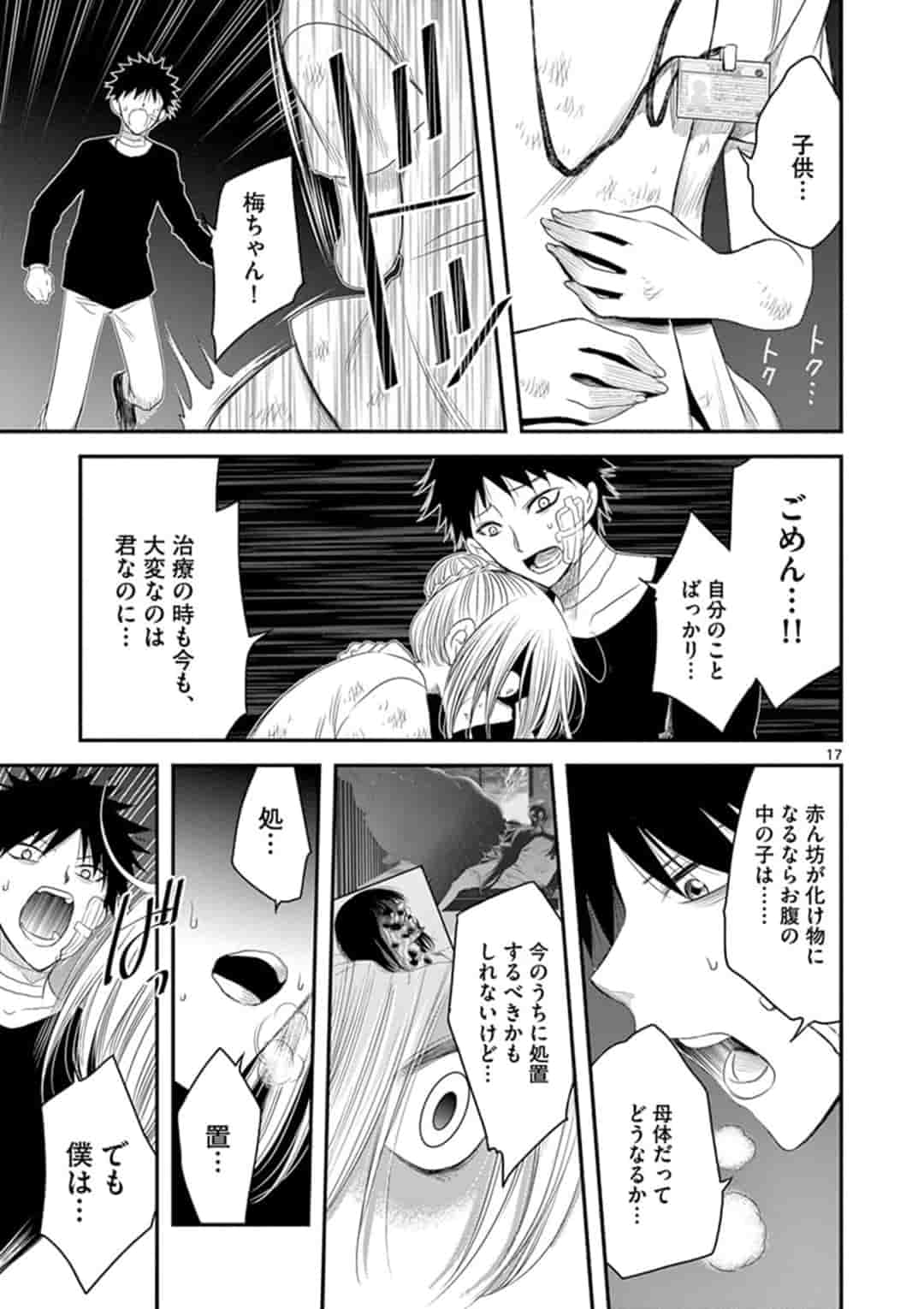 第 17 页