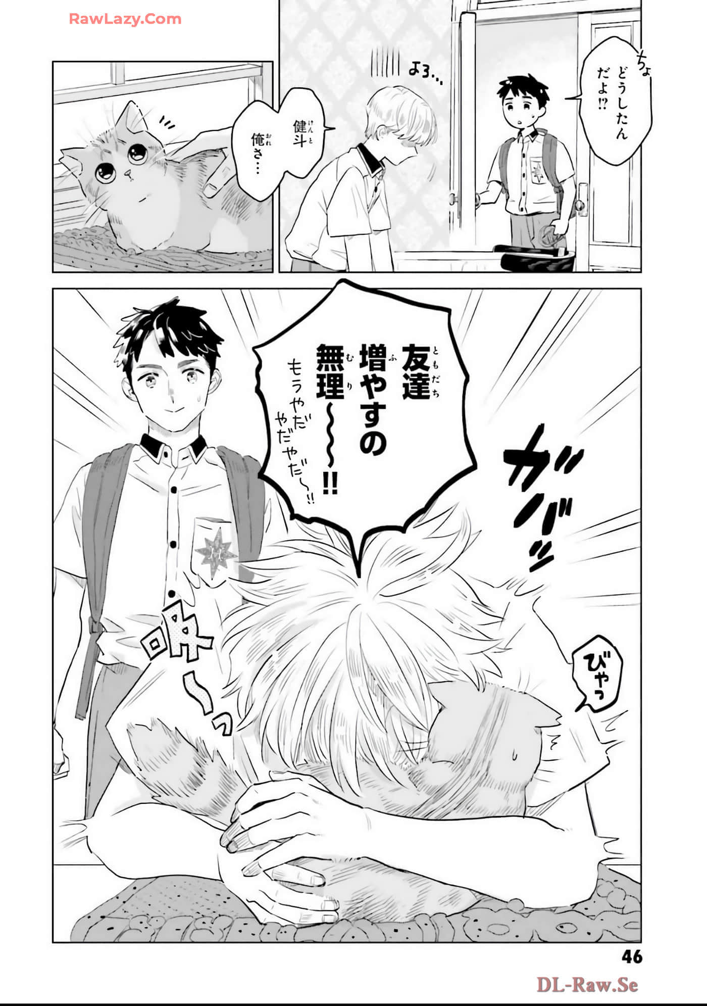 第 48 页