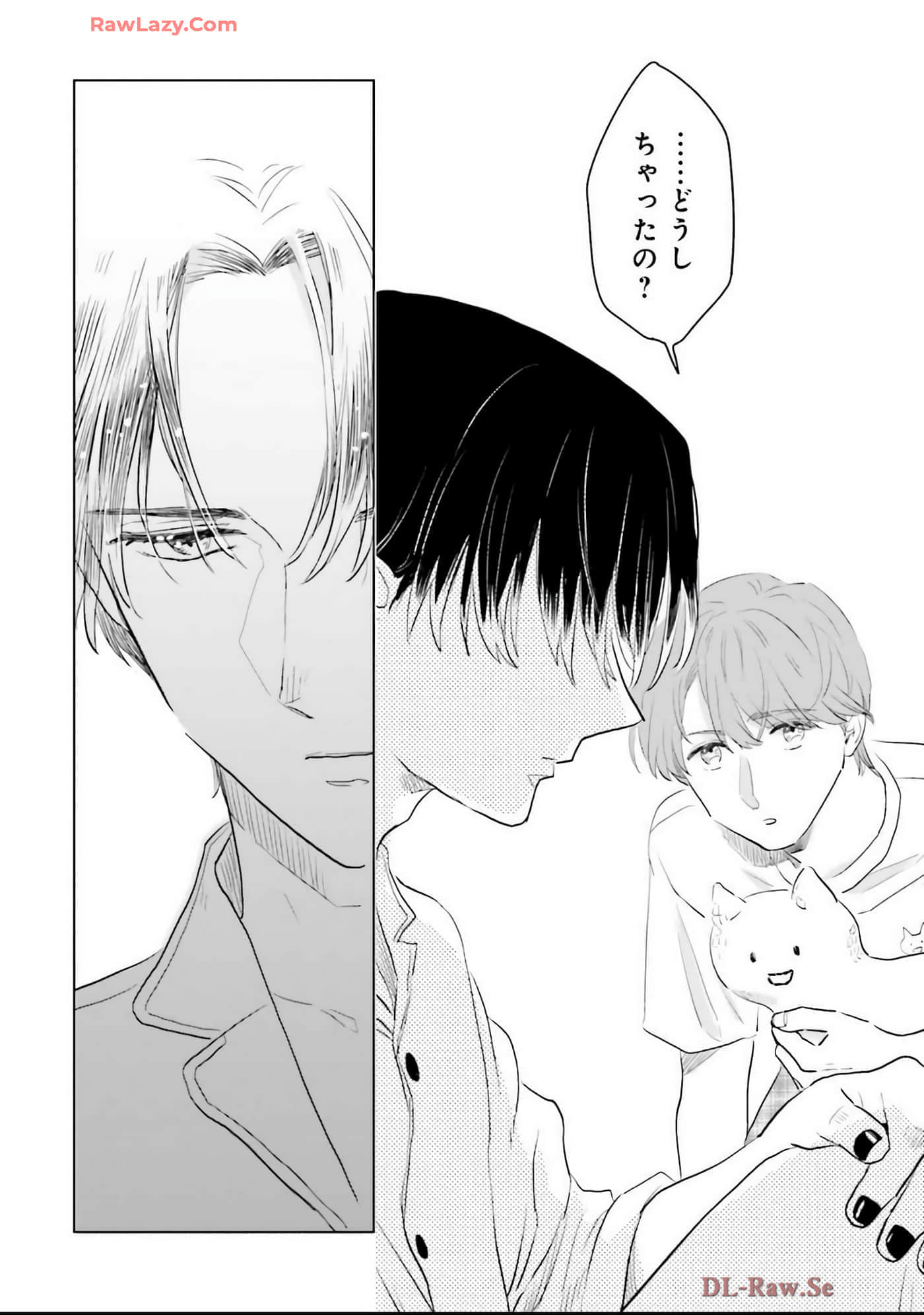 第 96 页