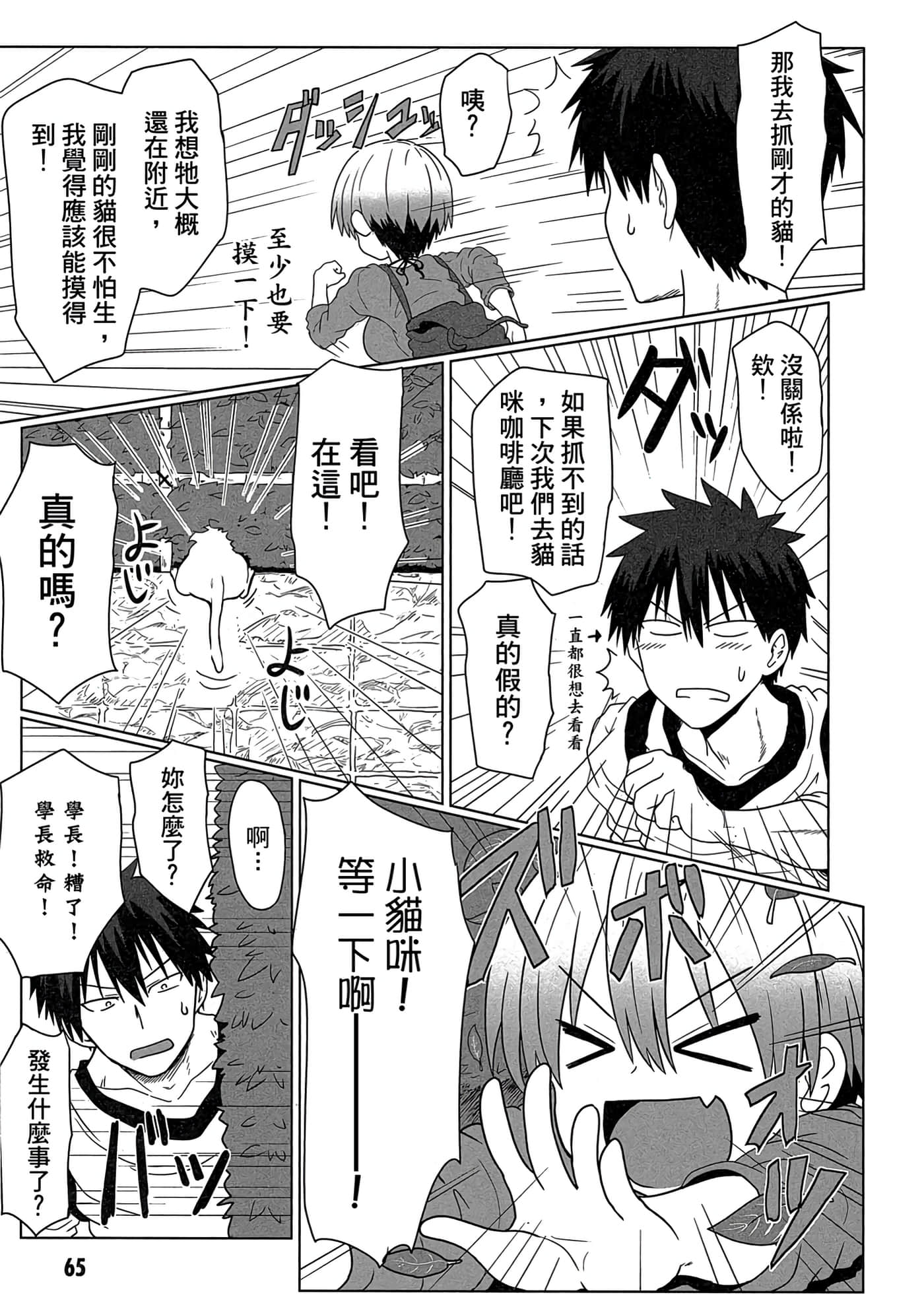 第 66 页