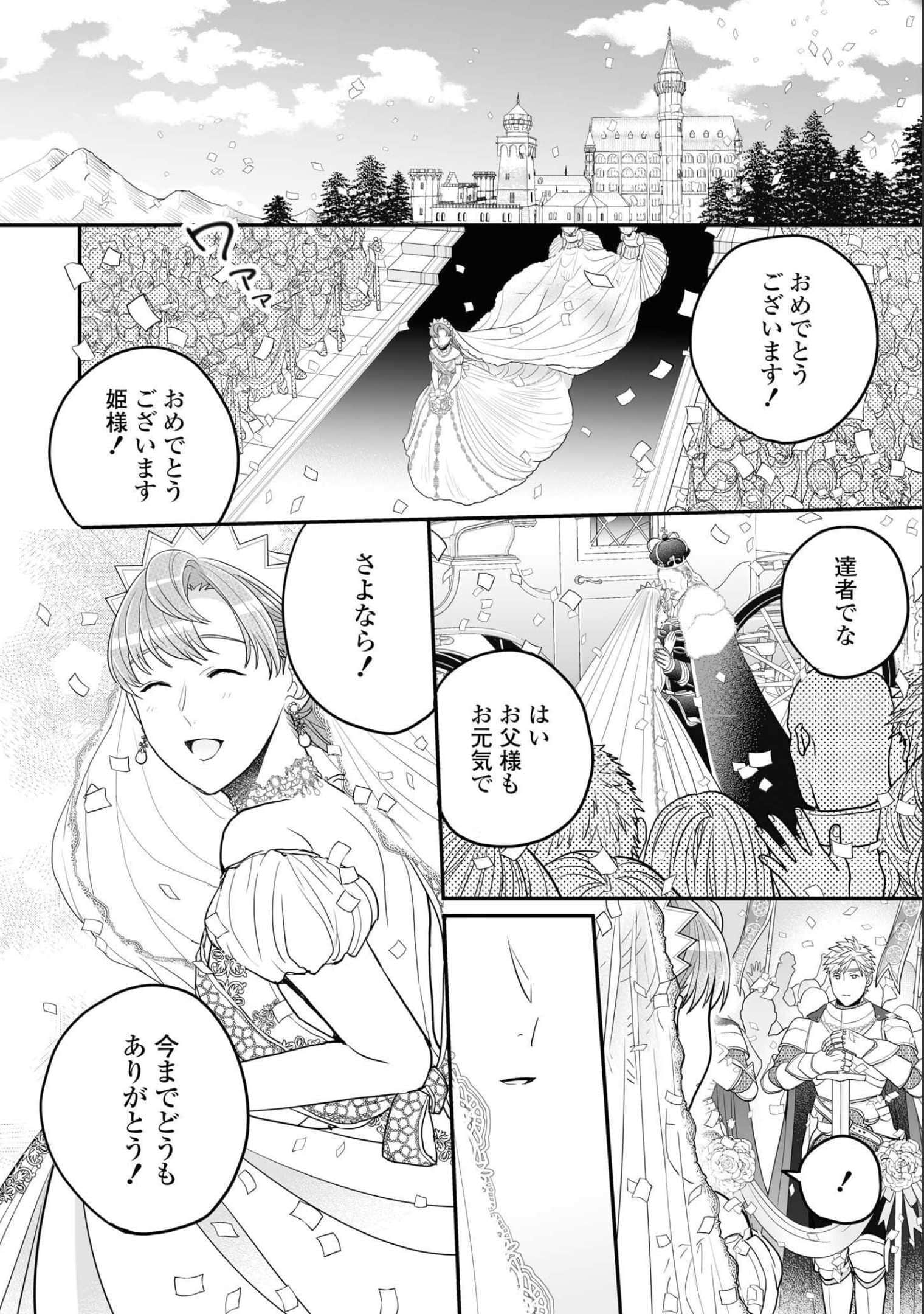 第 113 页