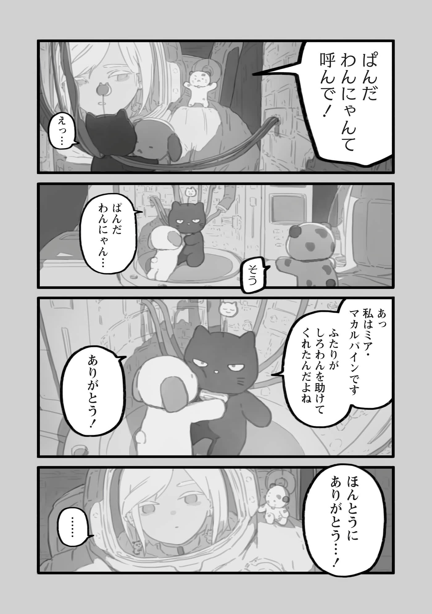 第 43 页