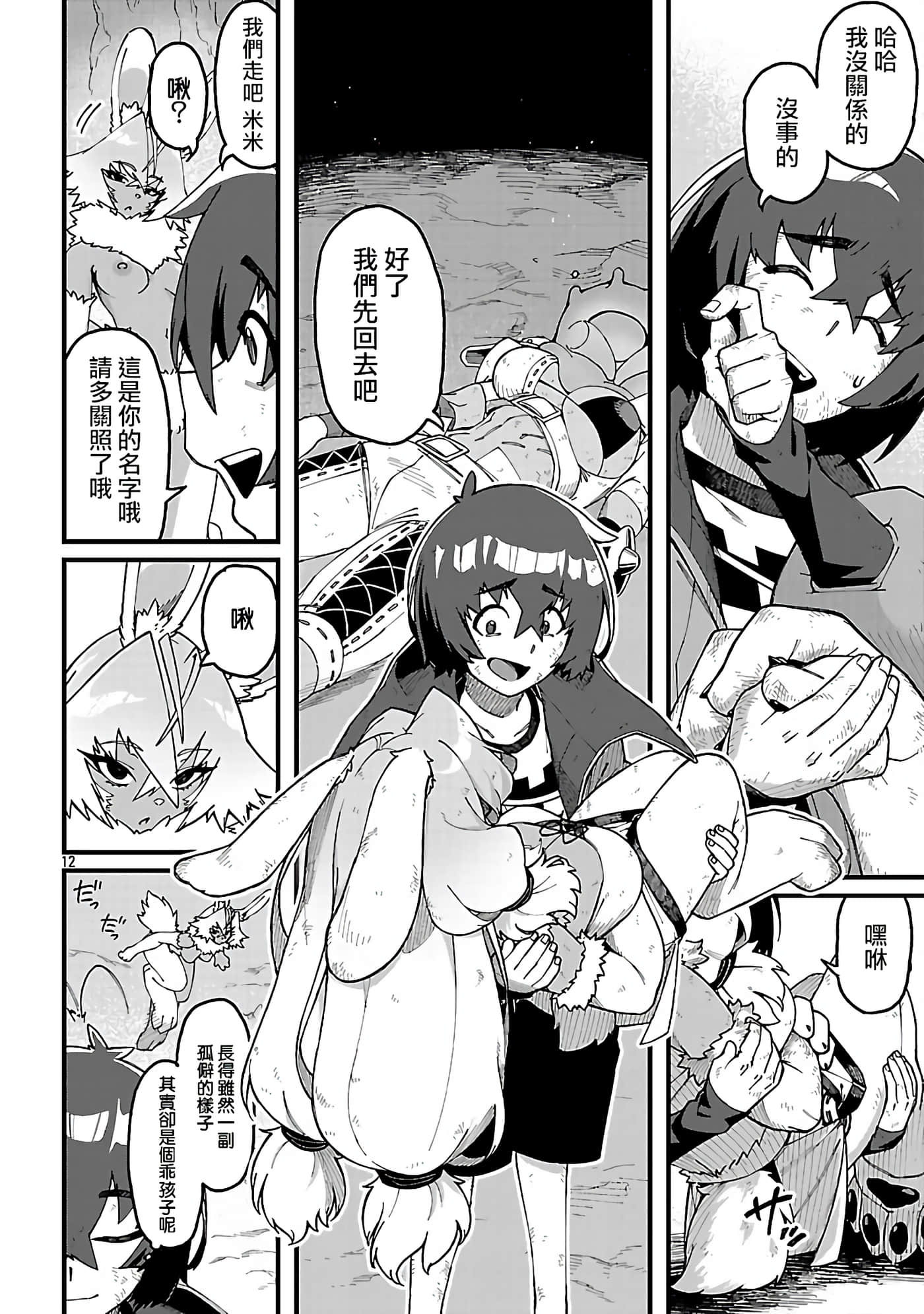 第 12 页