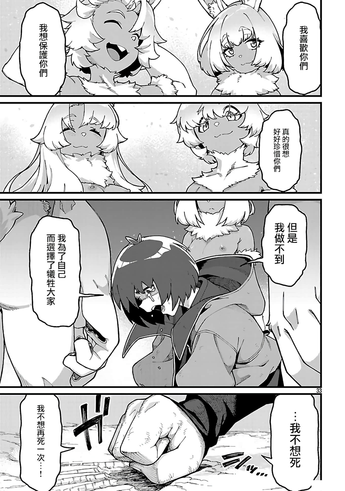 第 33 页