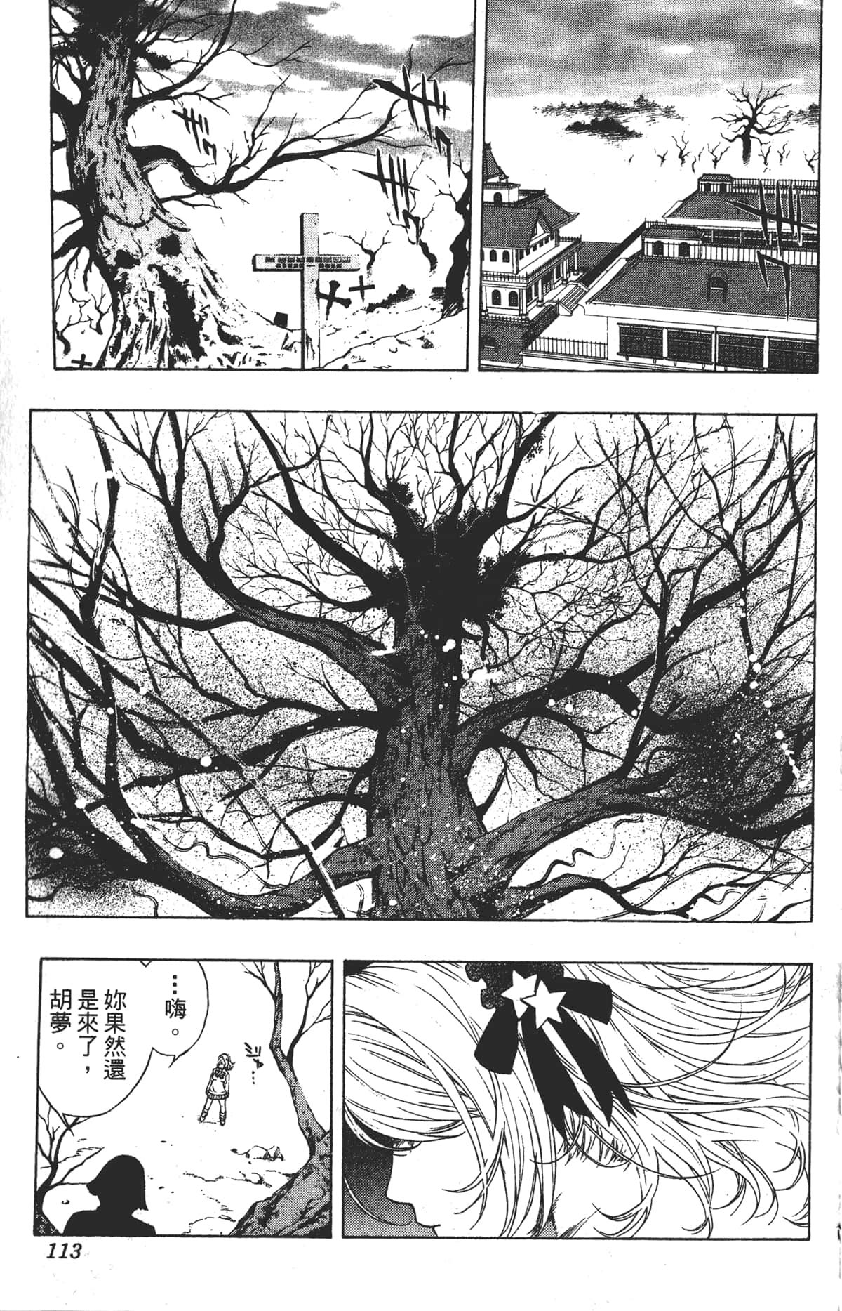 Page 113