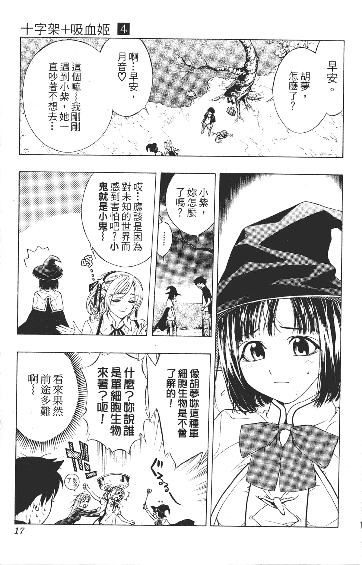 Page 17