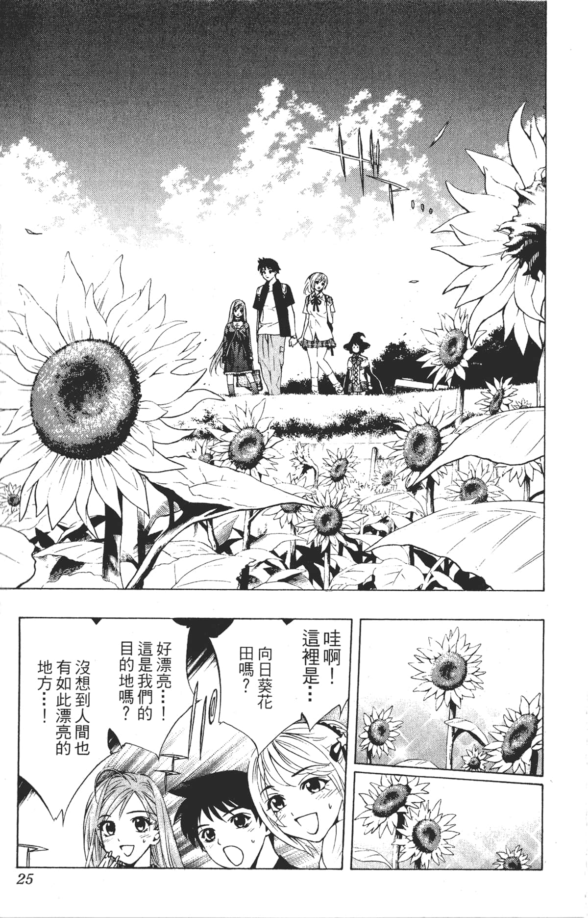 Page 25