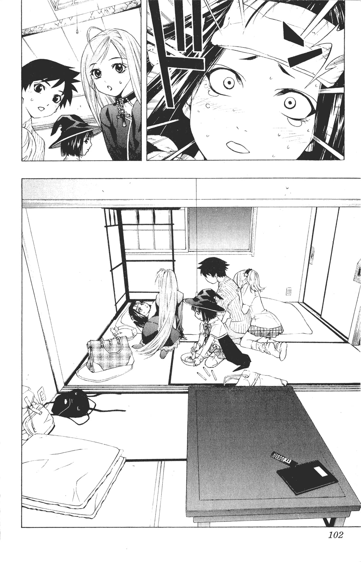 Page 102