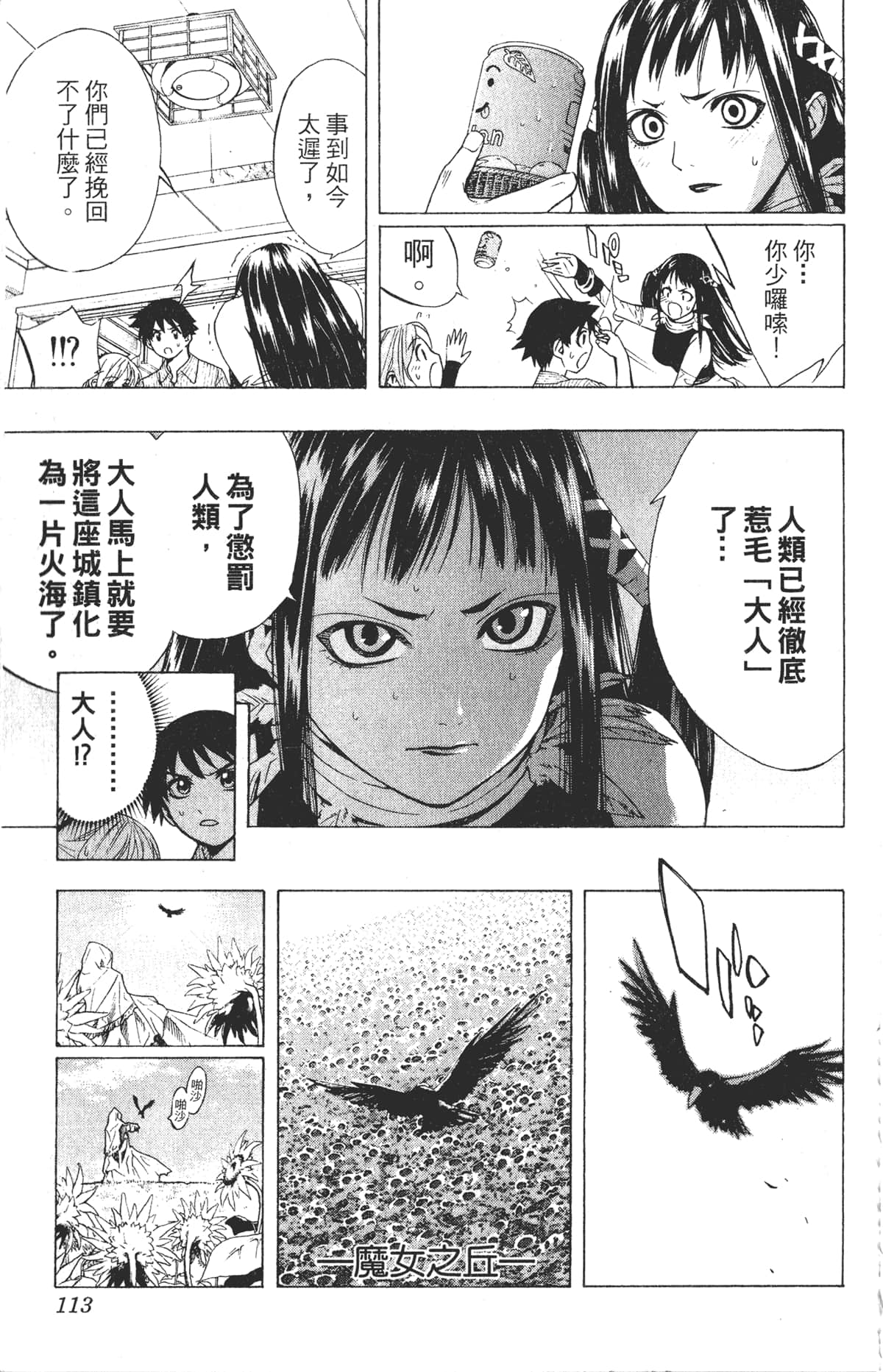 Page 113