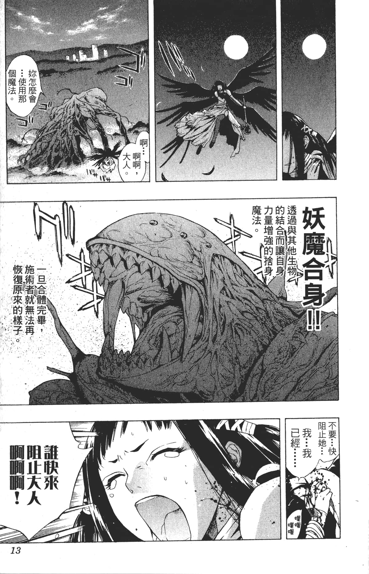 Page 13