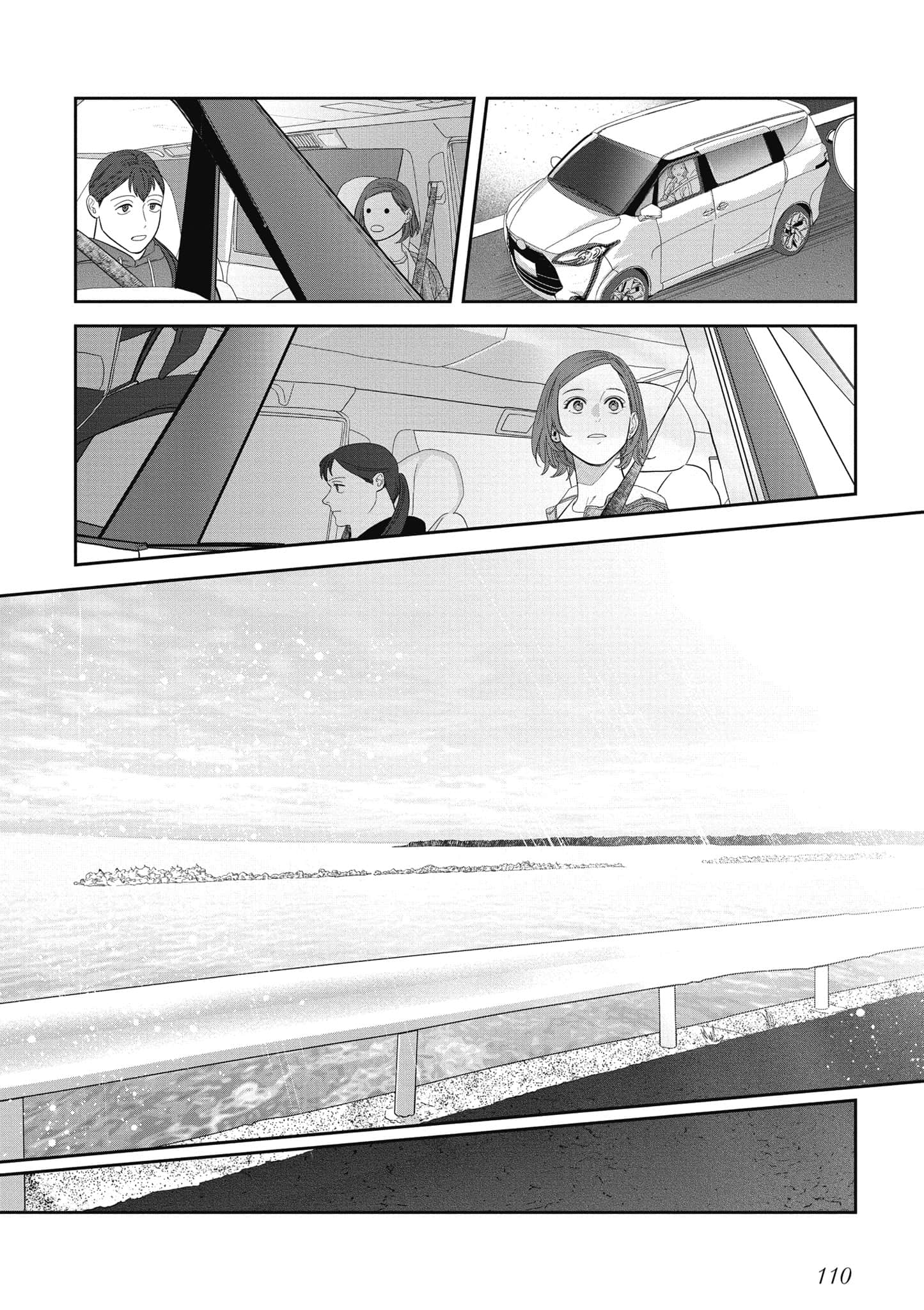 Page 111