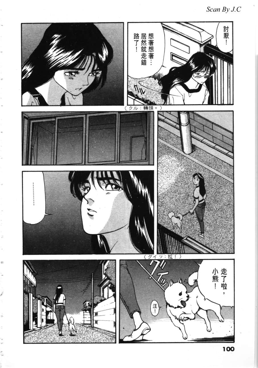 Page 102