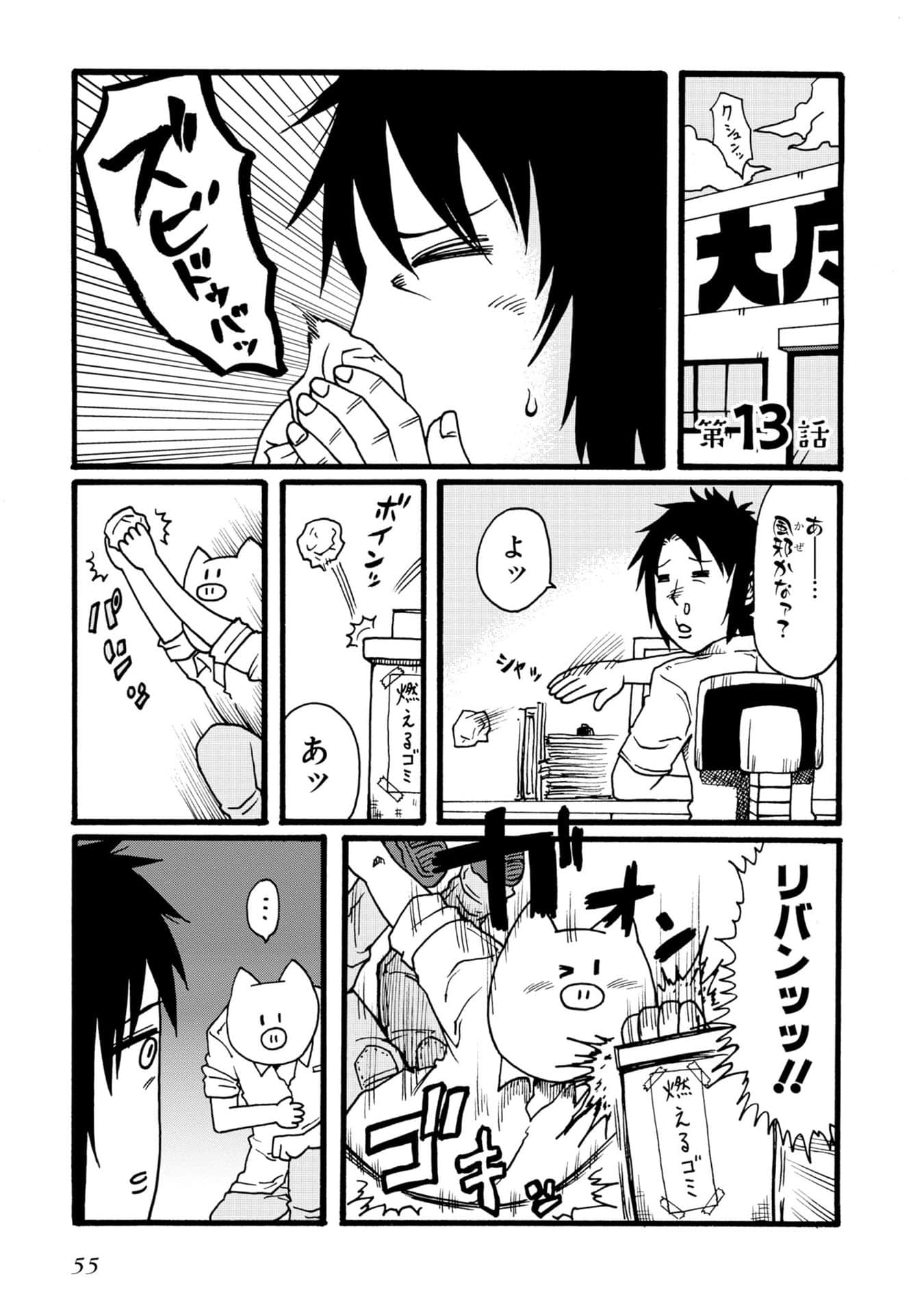 Page 55