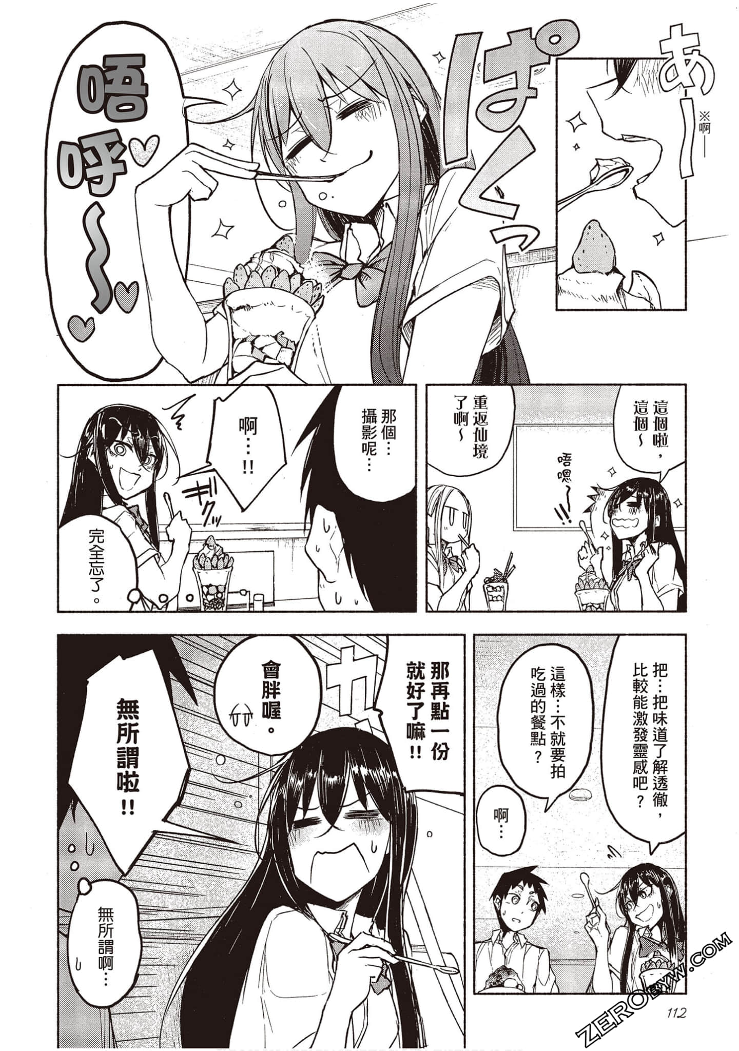 Page 111