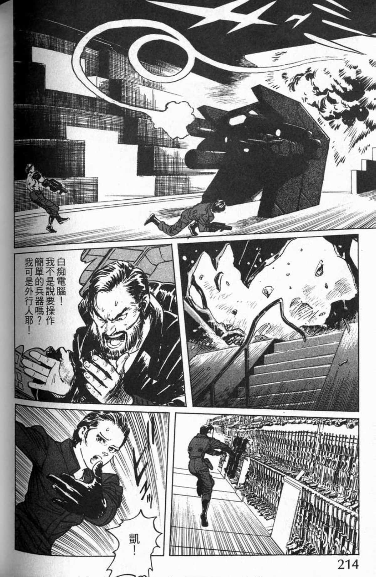 Page 217