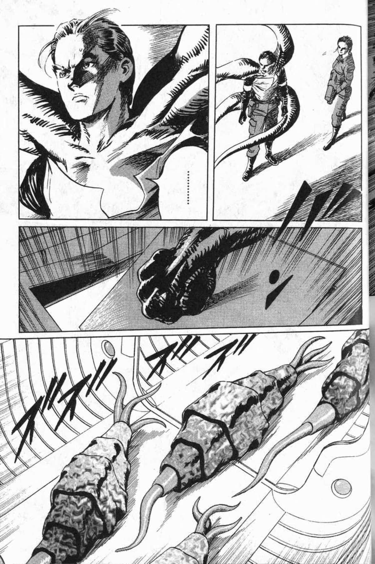 Page 246