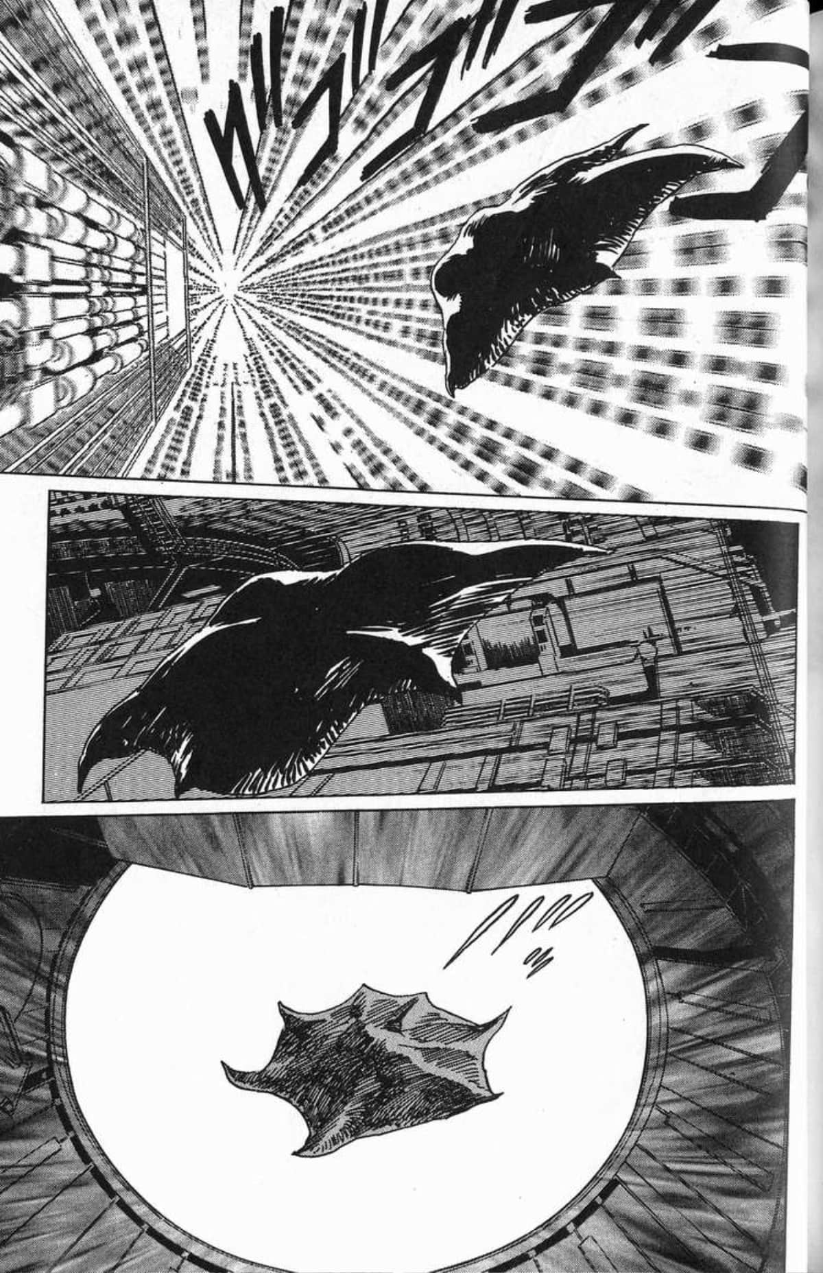 Page 252