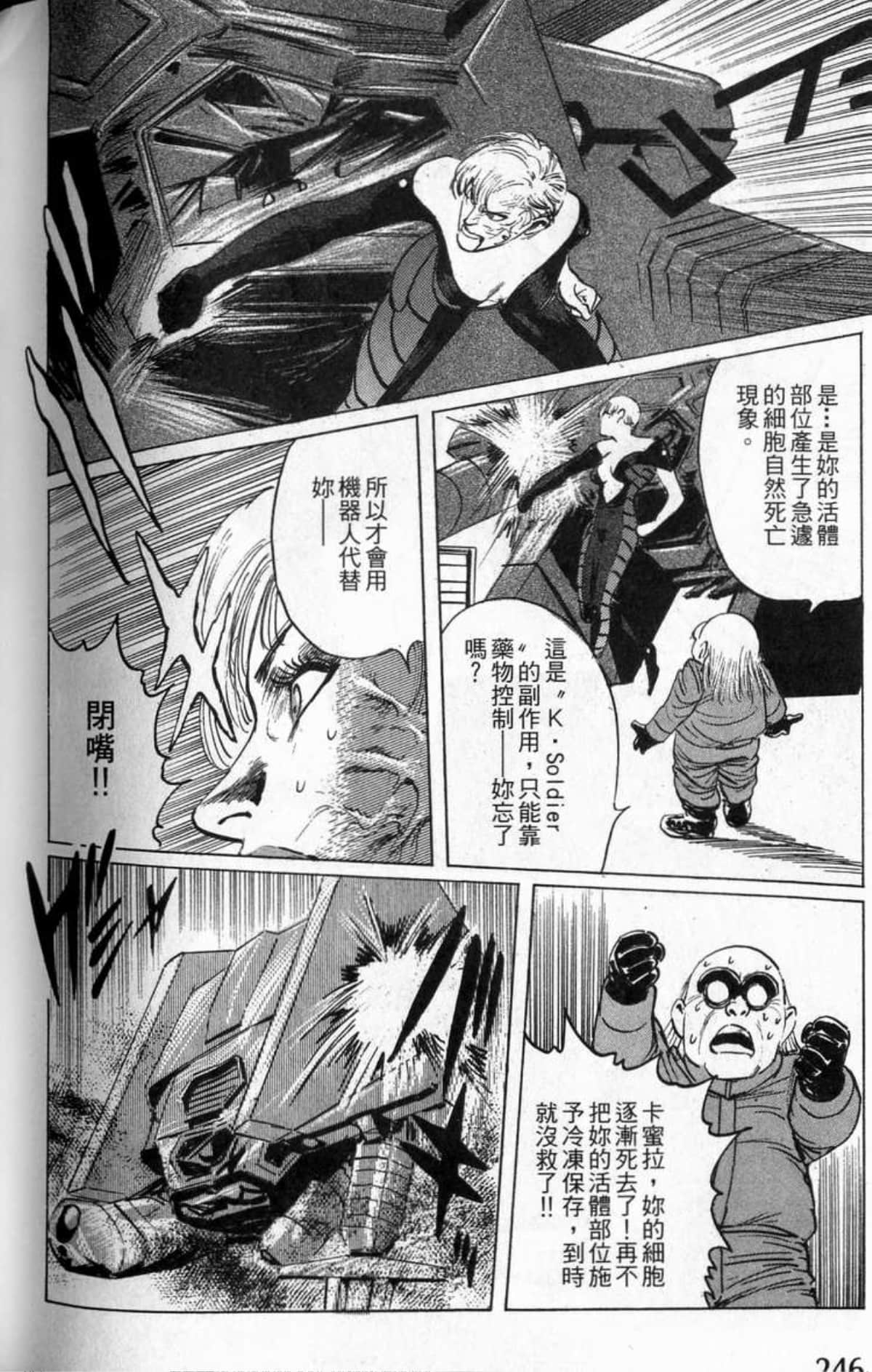 Page 247