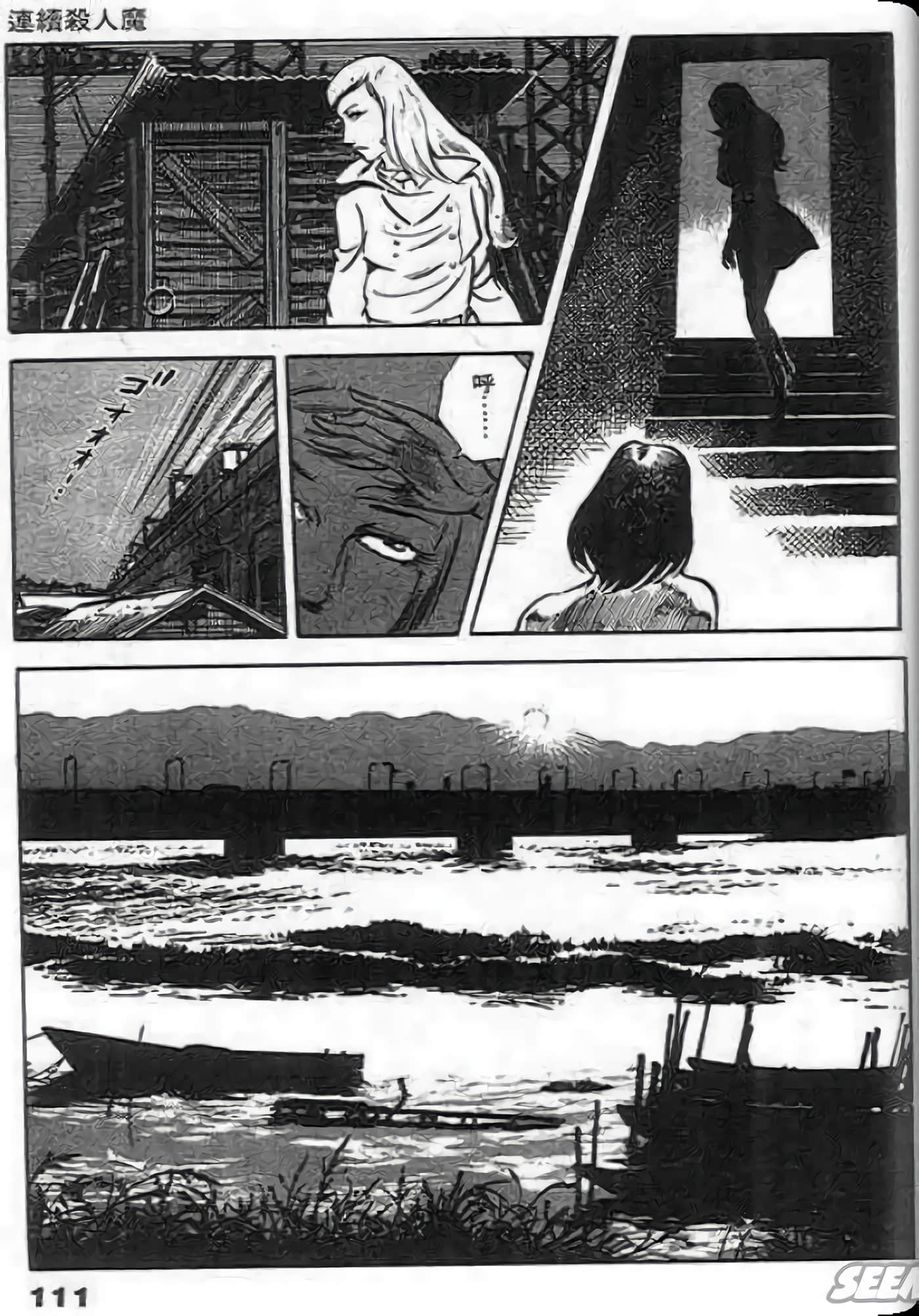 Page 111