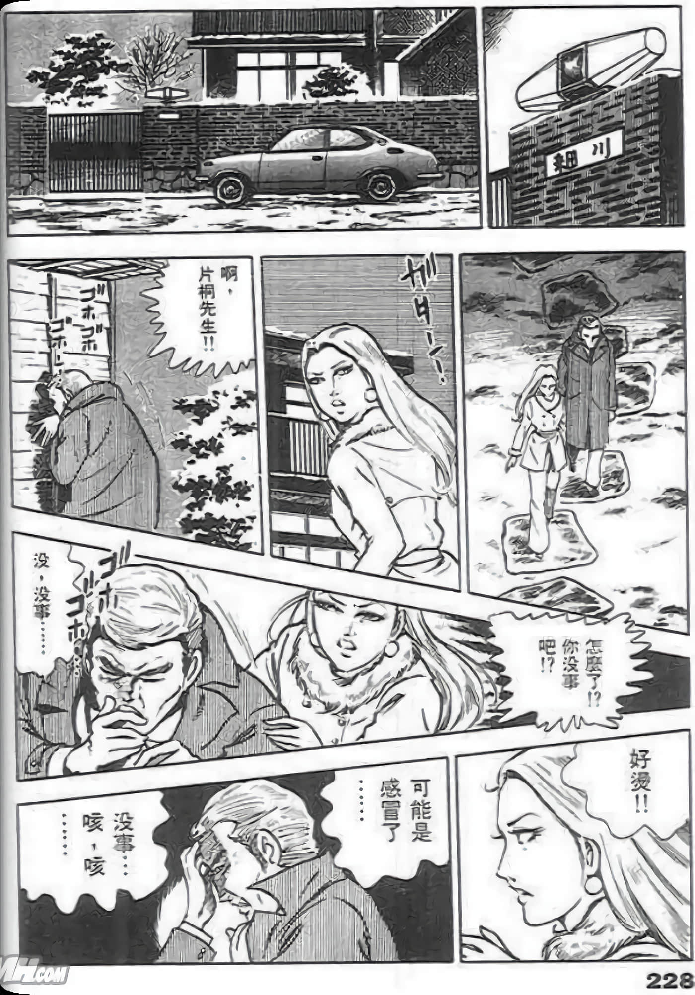 第 228 页