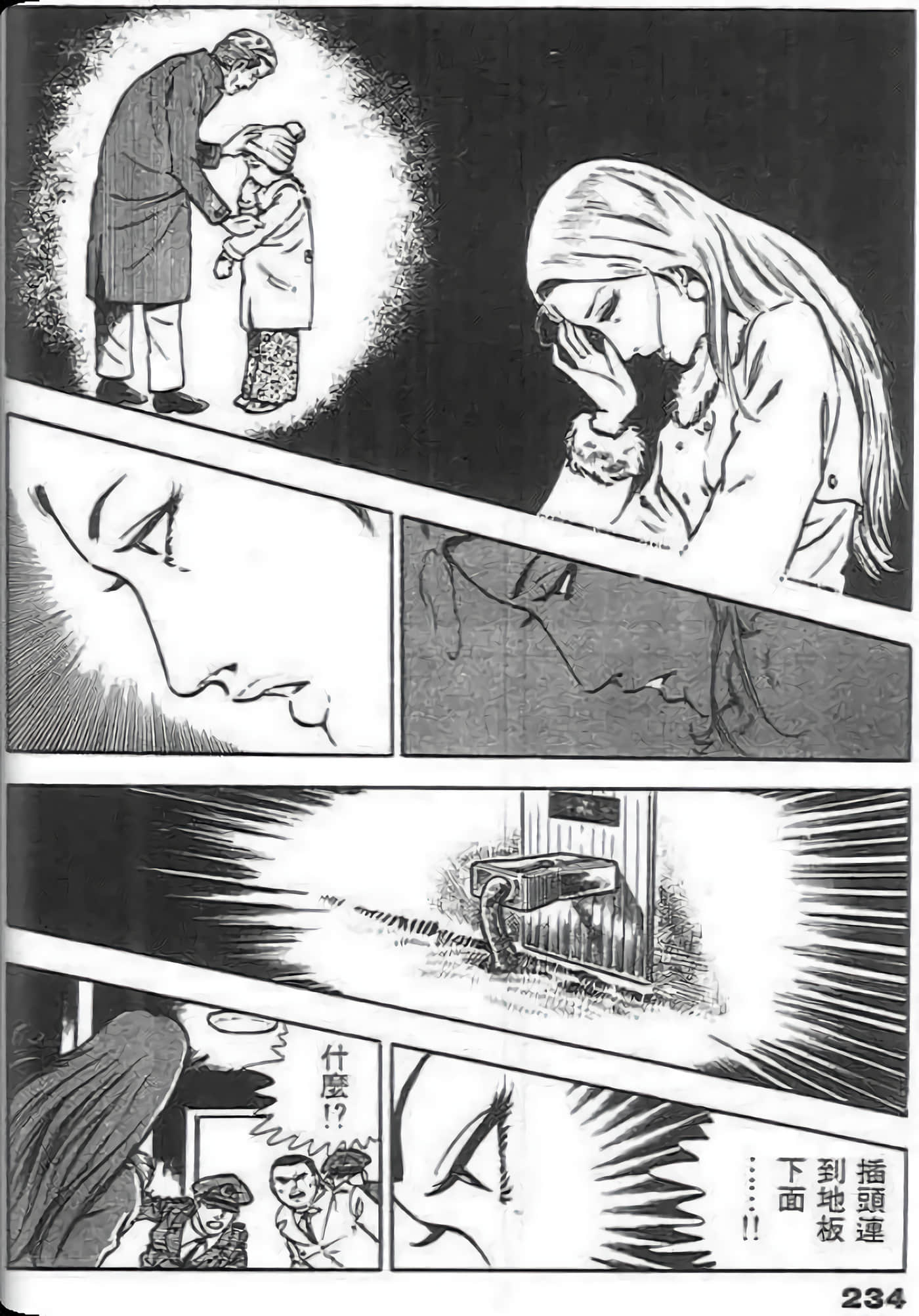 第 234 页