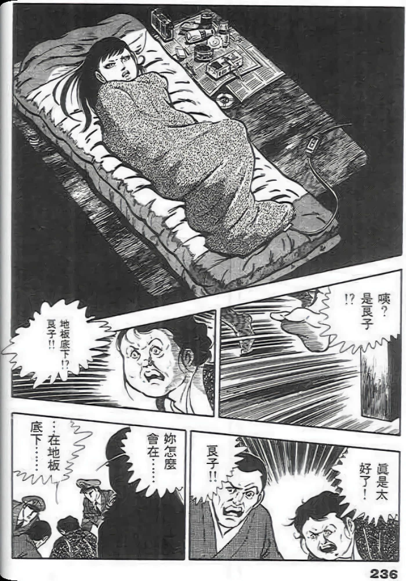第 236 页