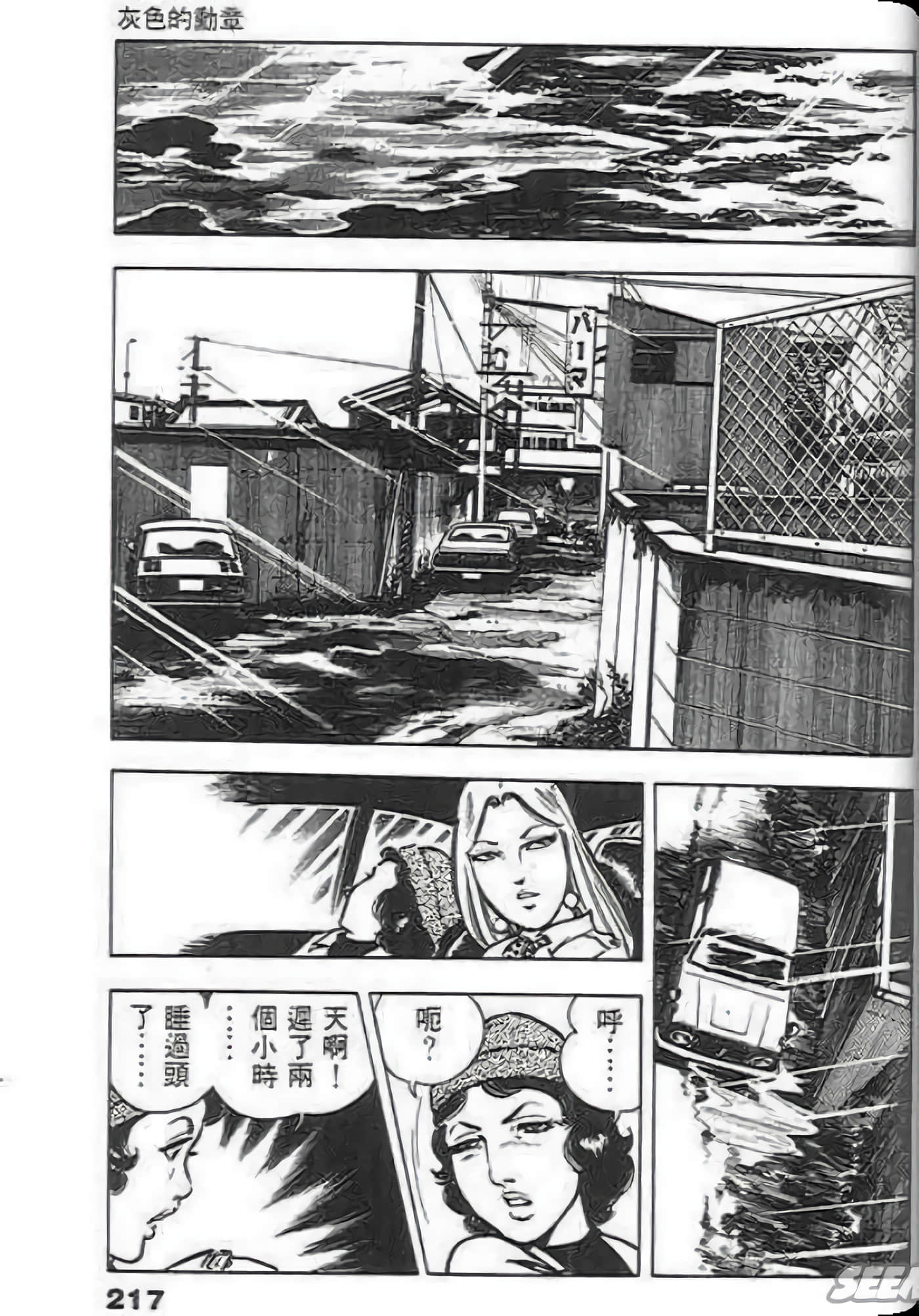Page 217
