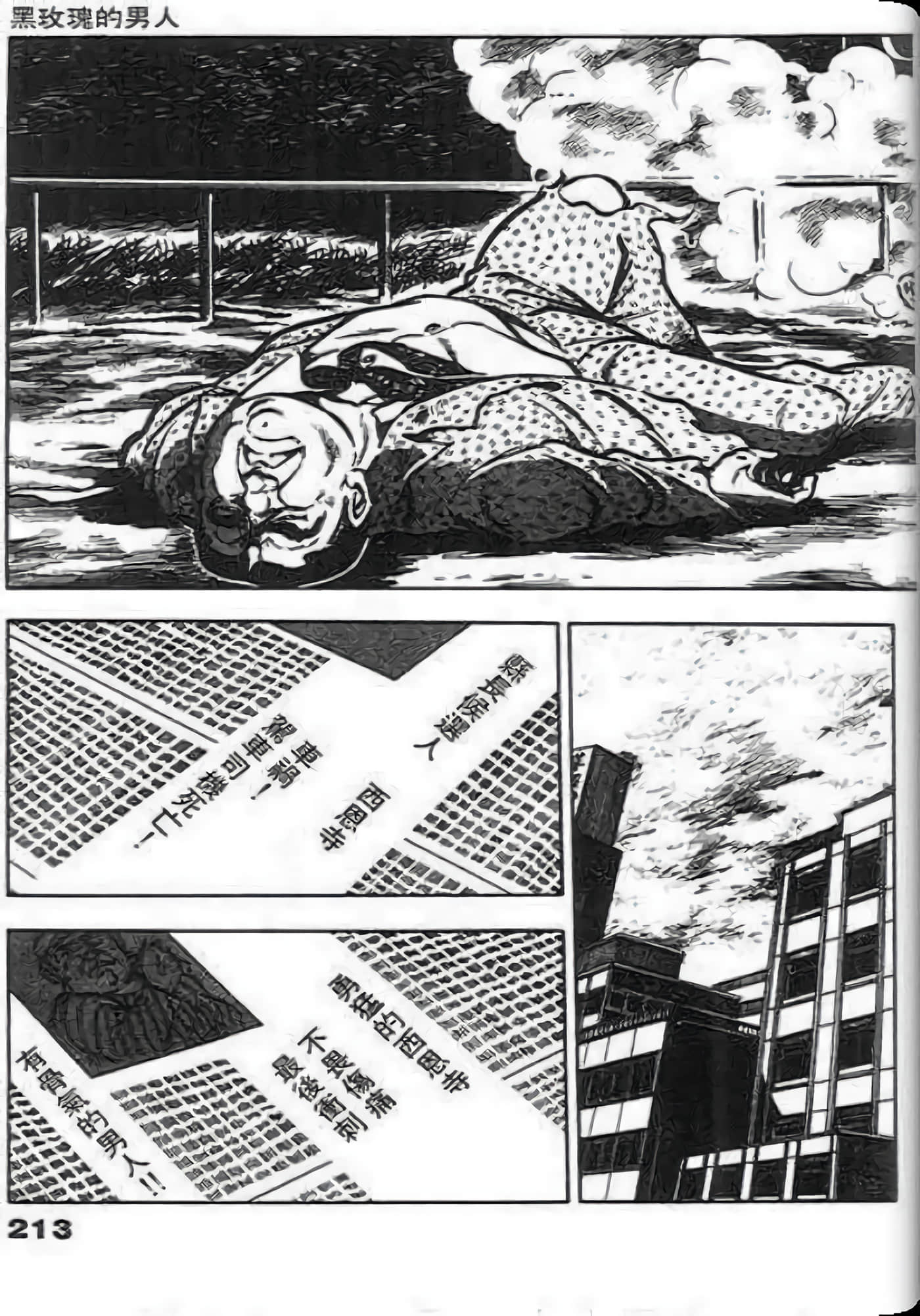 Page 213