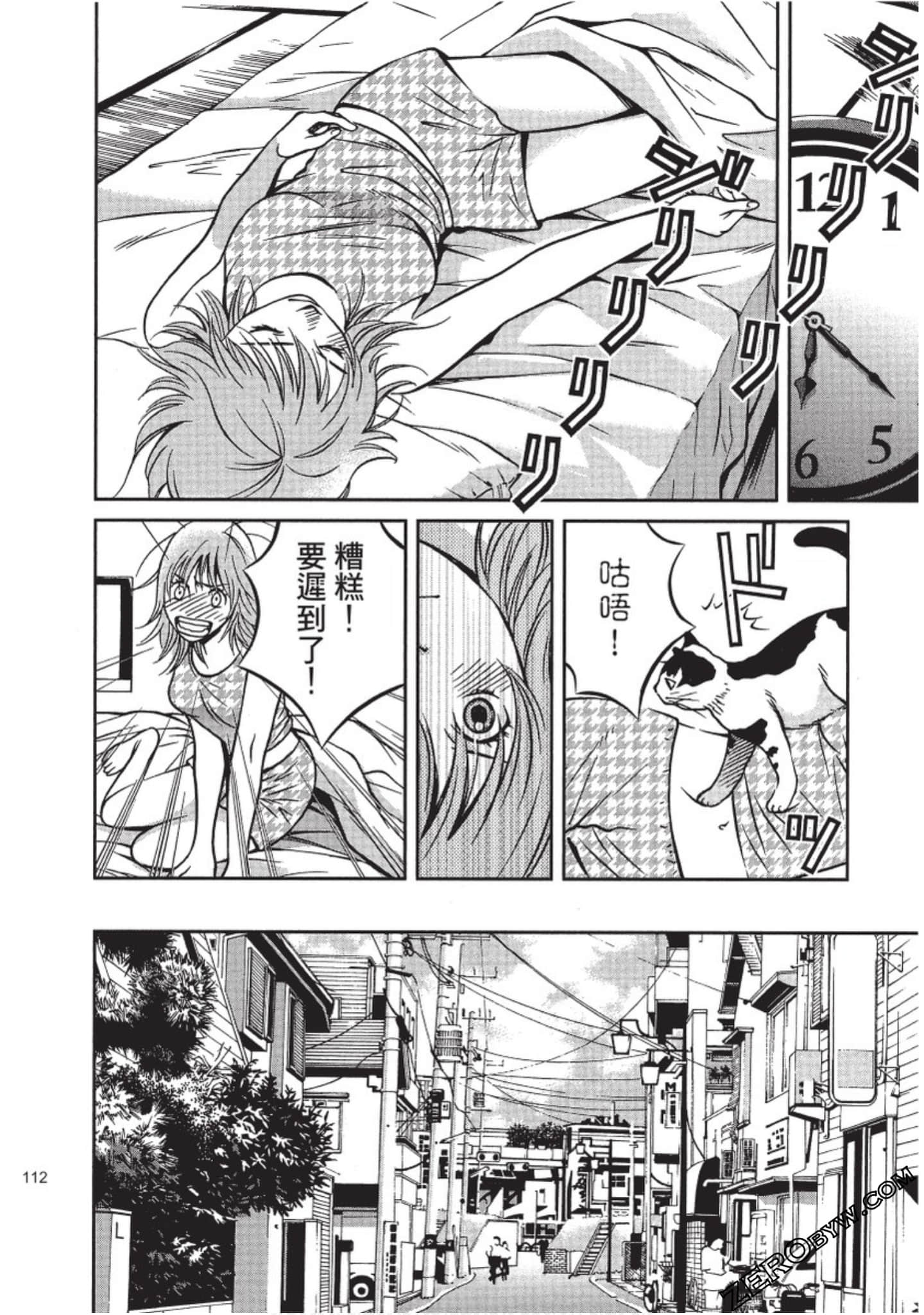 Page 113