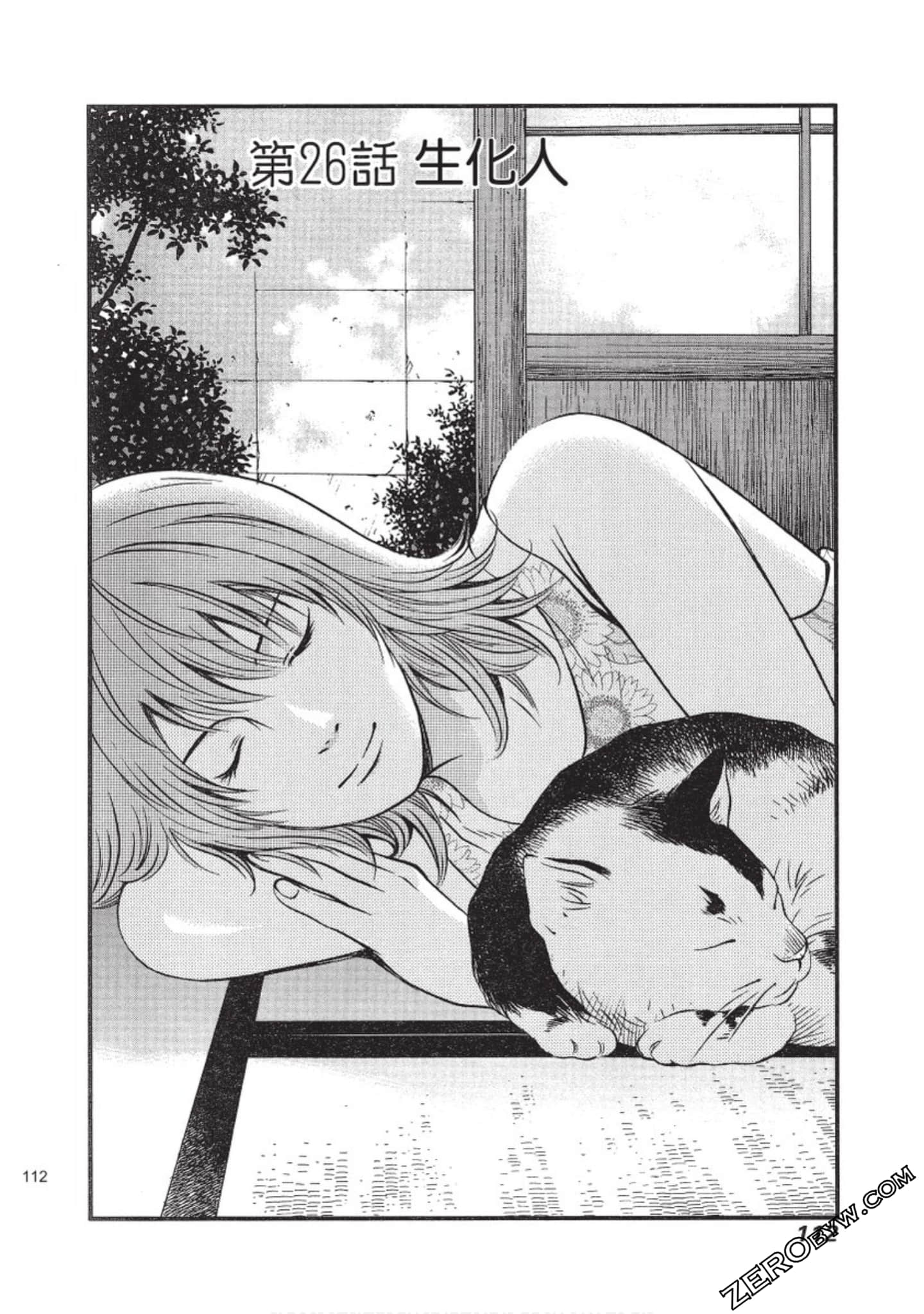 Page 113