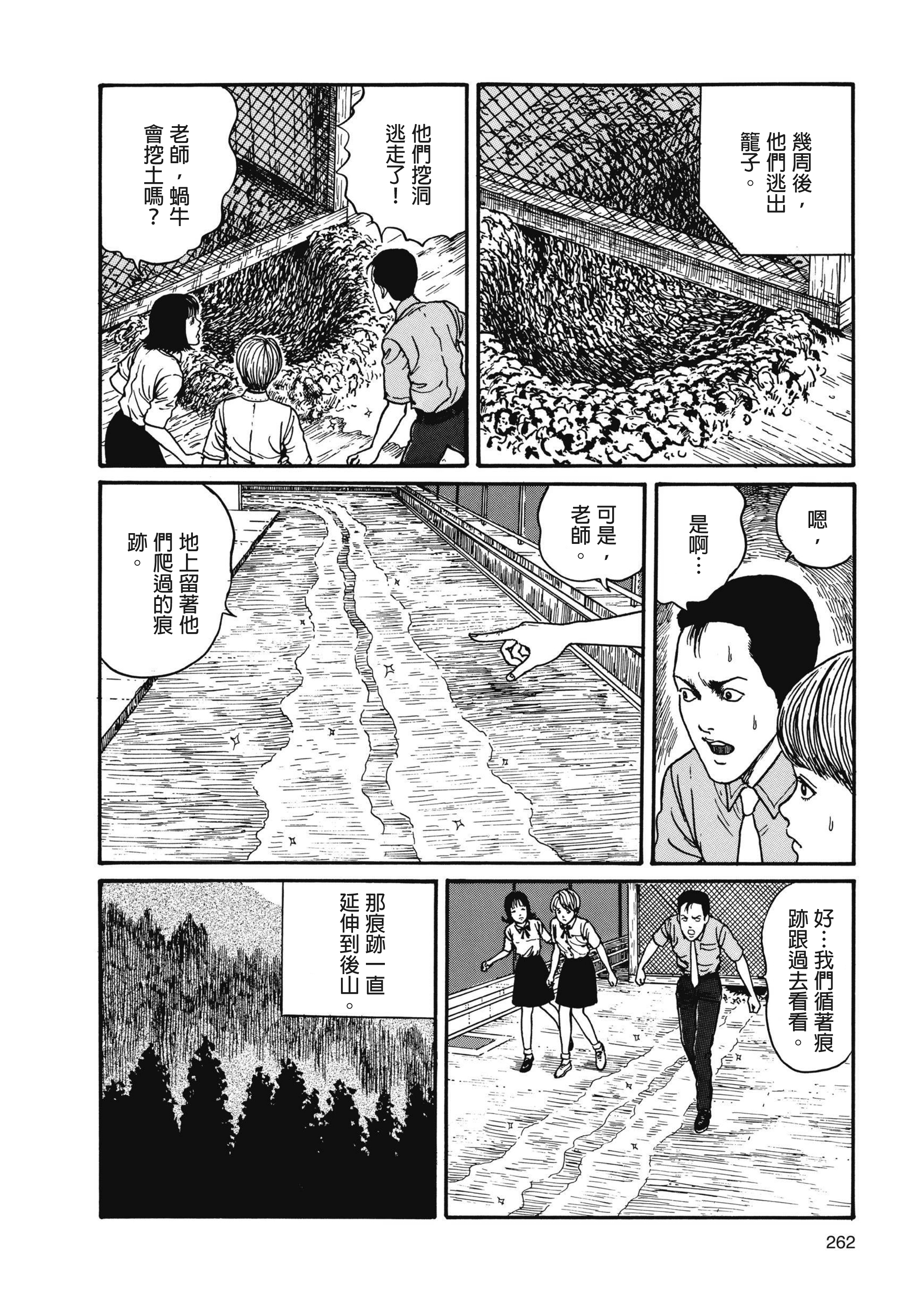 Page 263