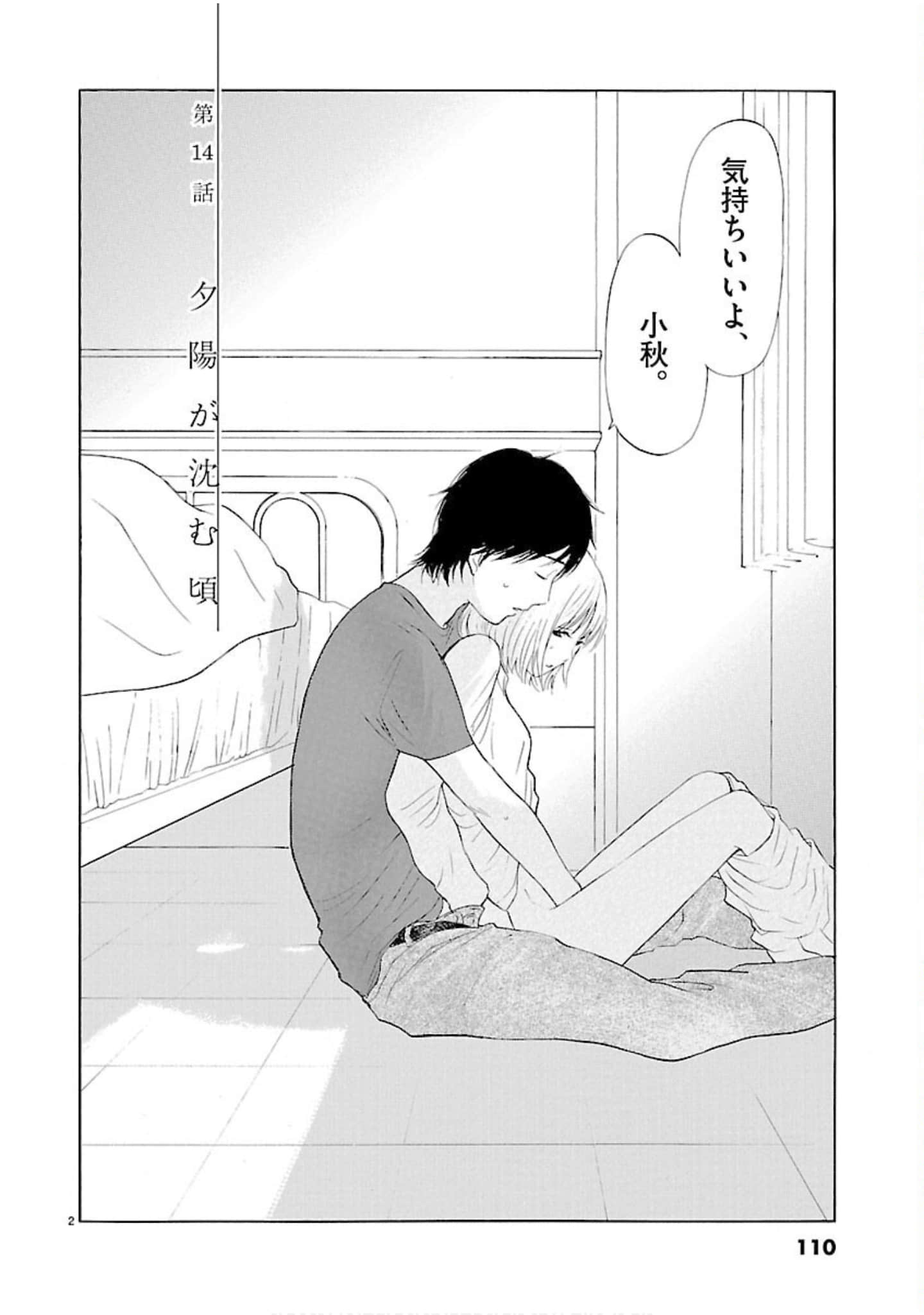 Page 111