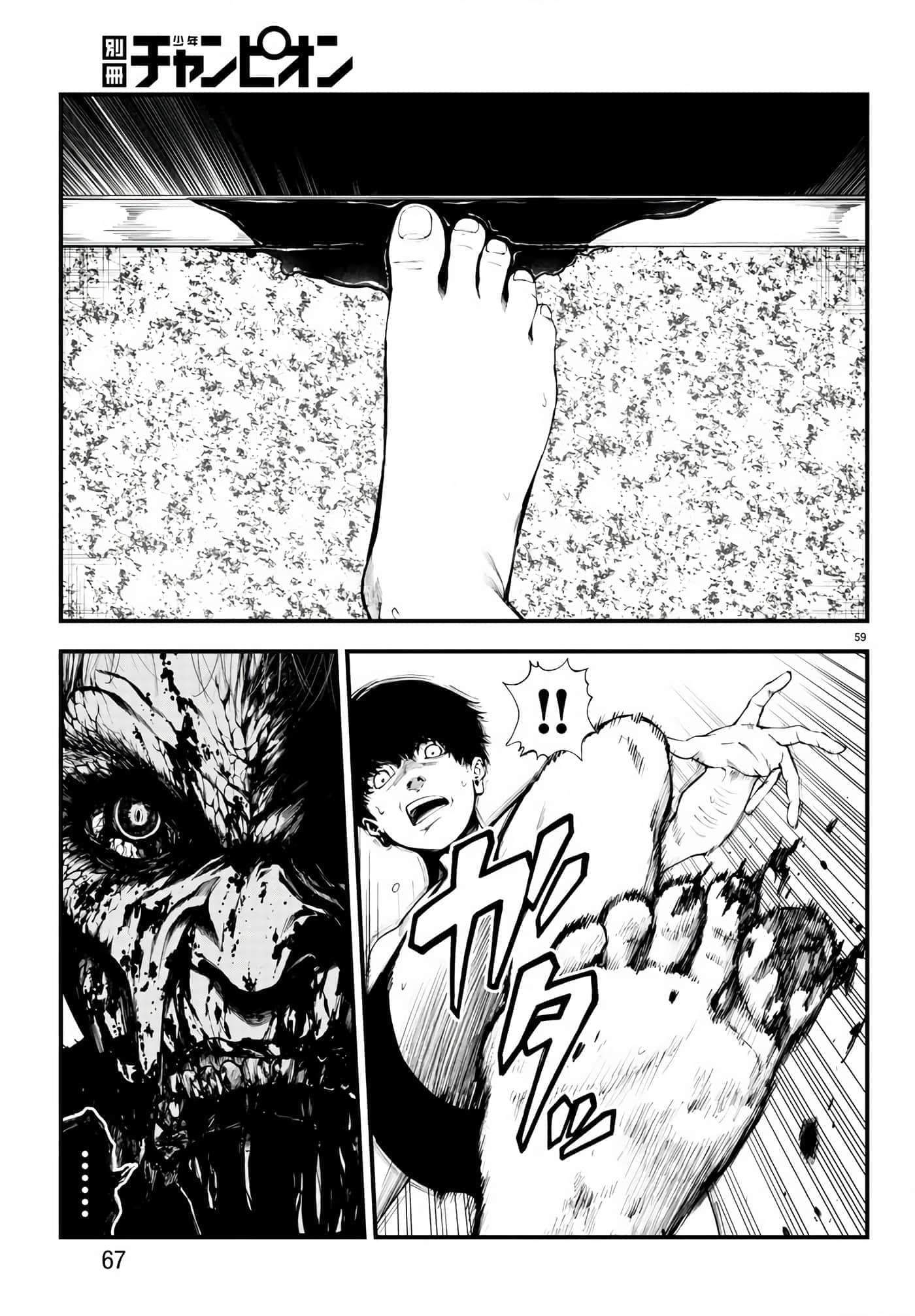 第 59 页