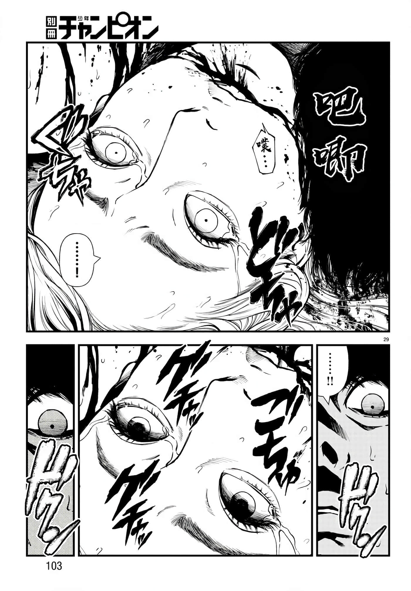 第 29 页