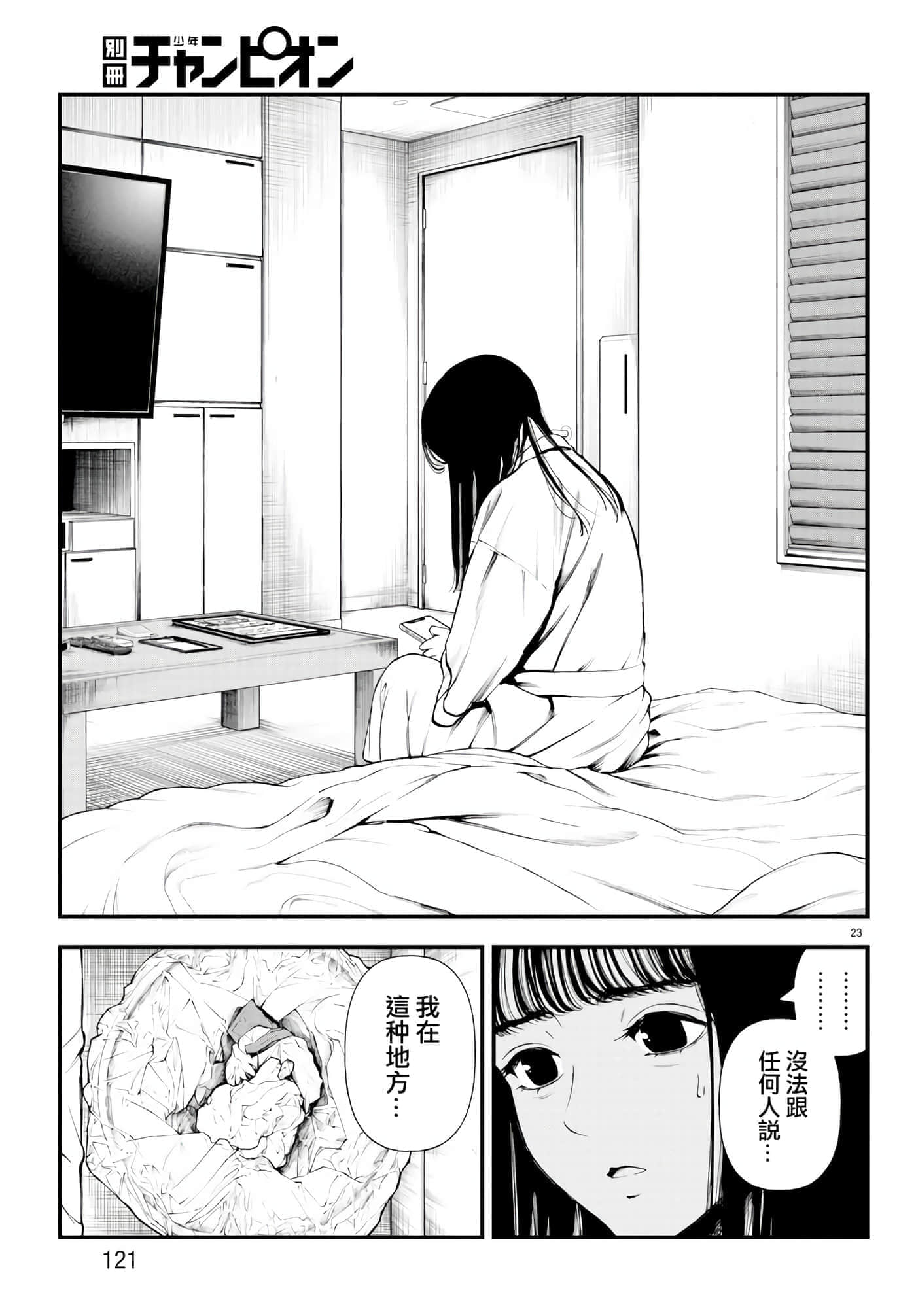 第 23 页