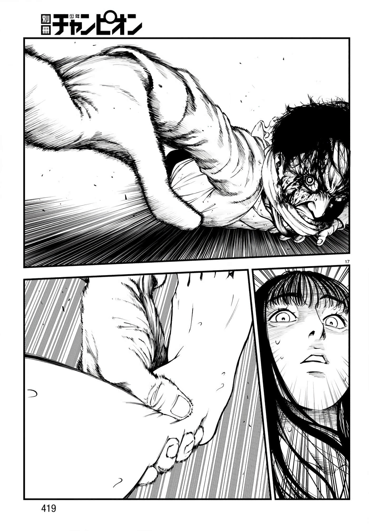 第 17 页