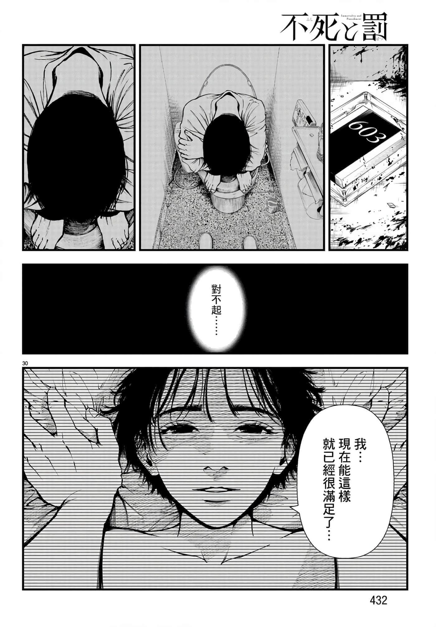 第 30 页