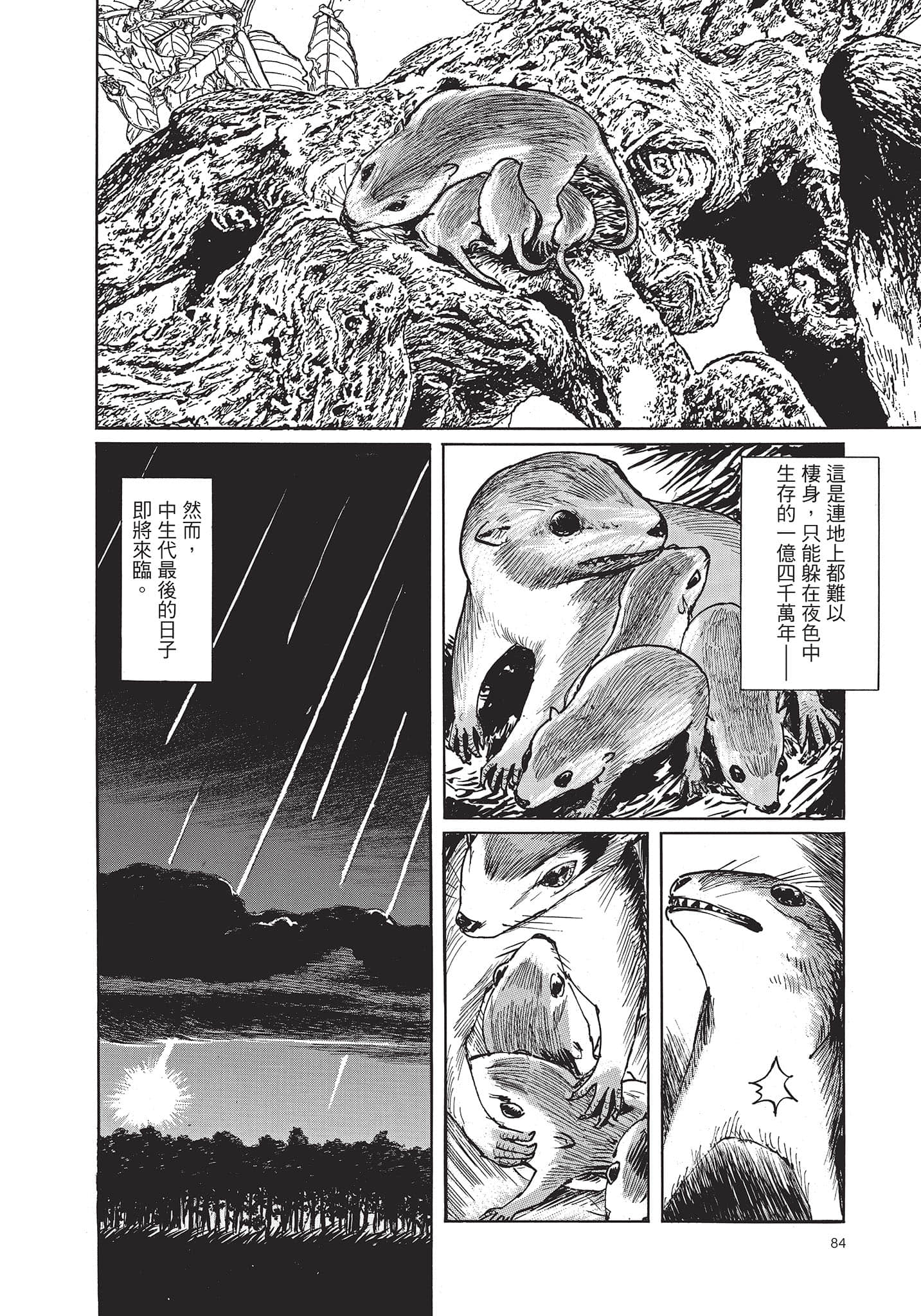 Page 85