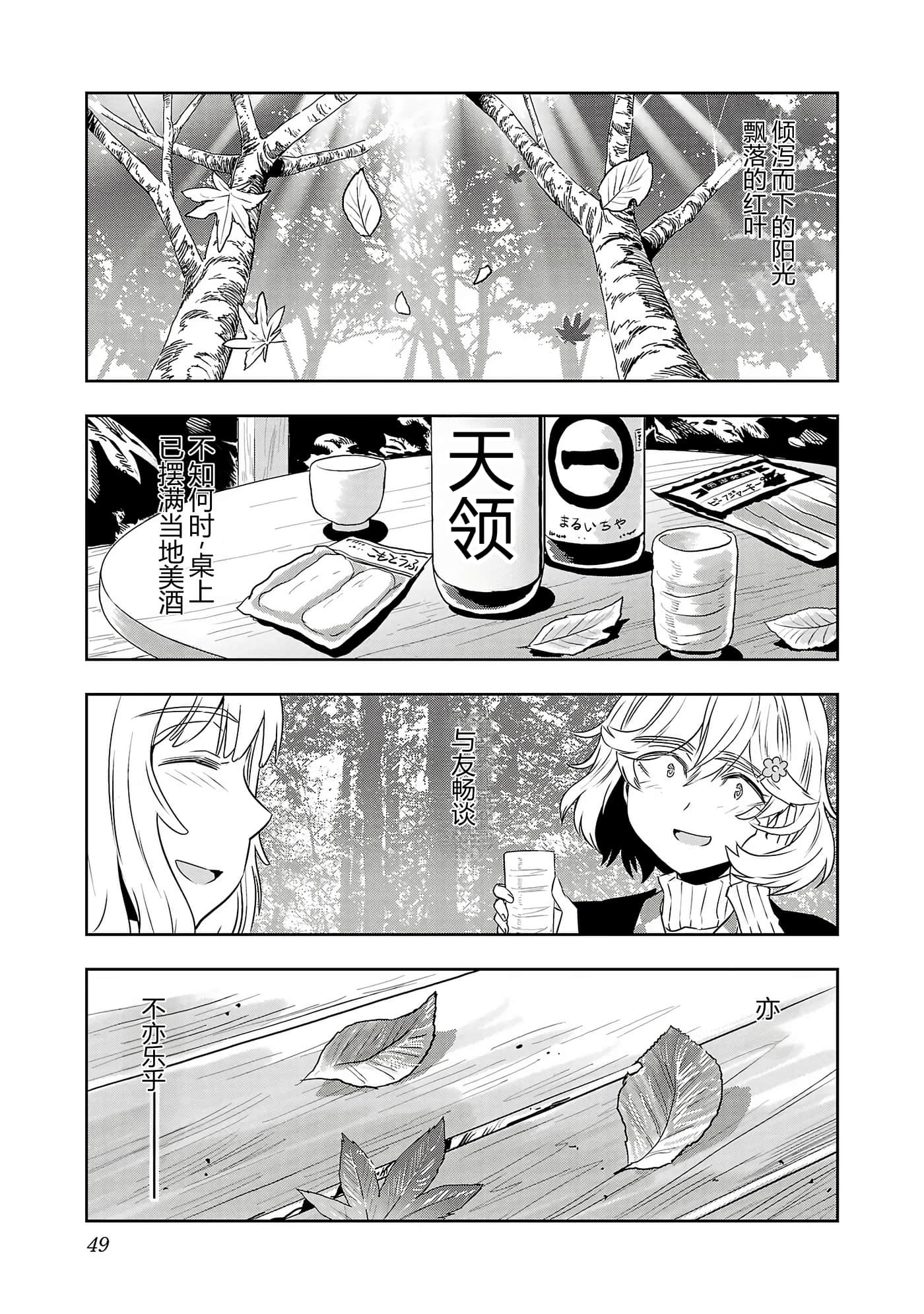 第 51 页