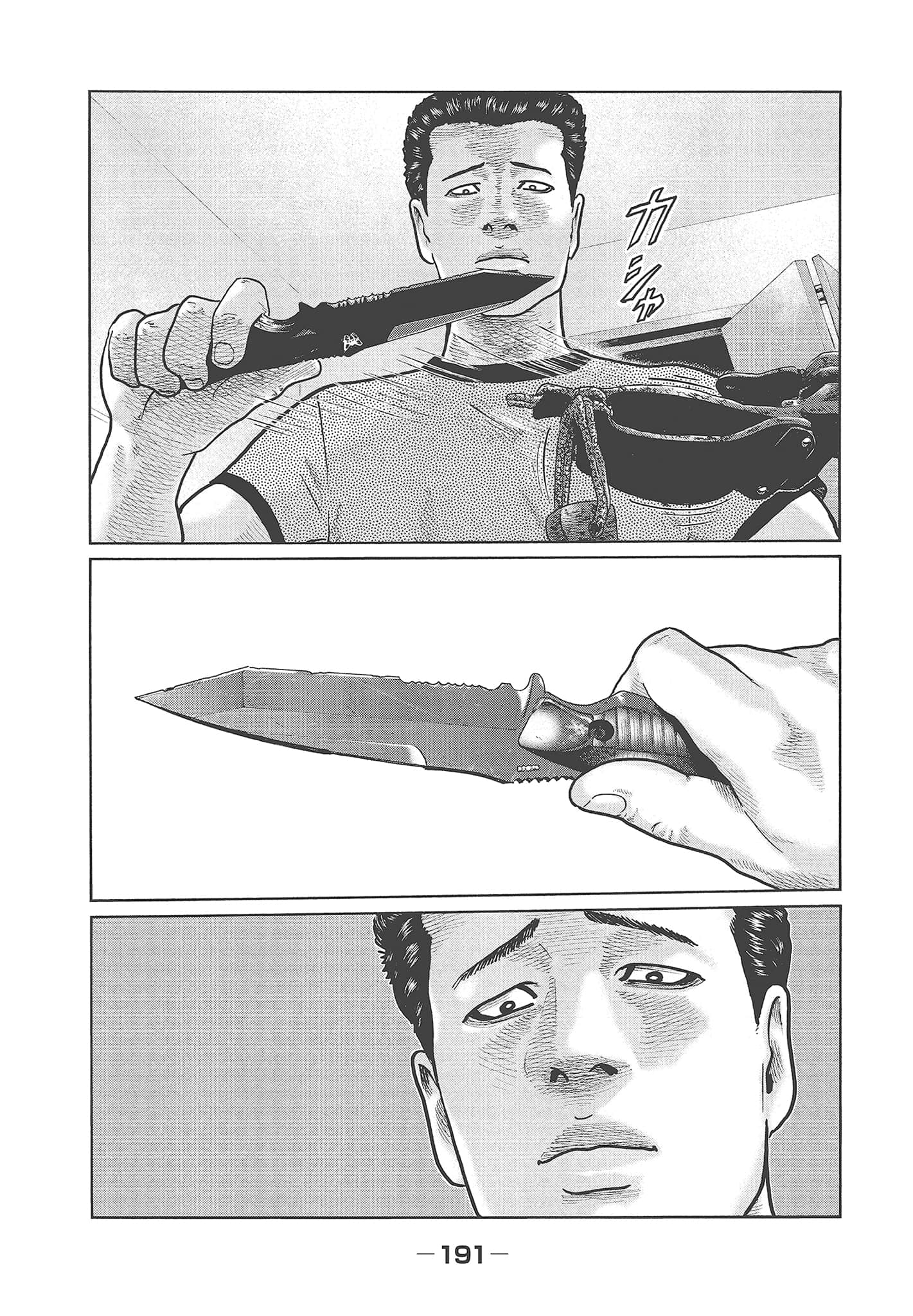 Page 193