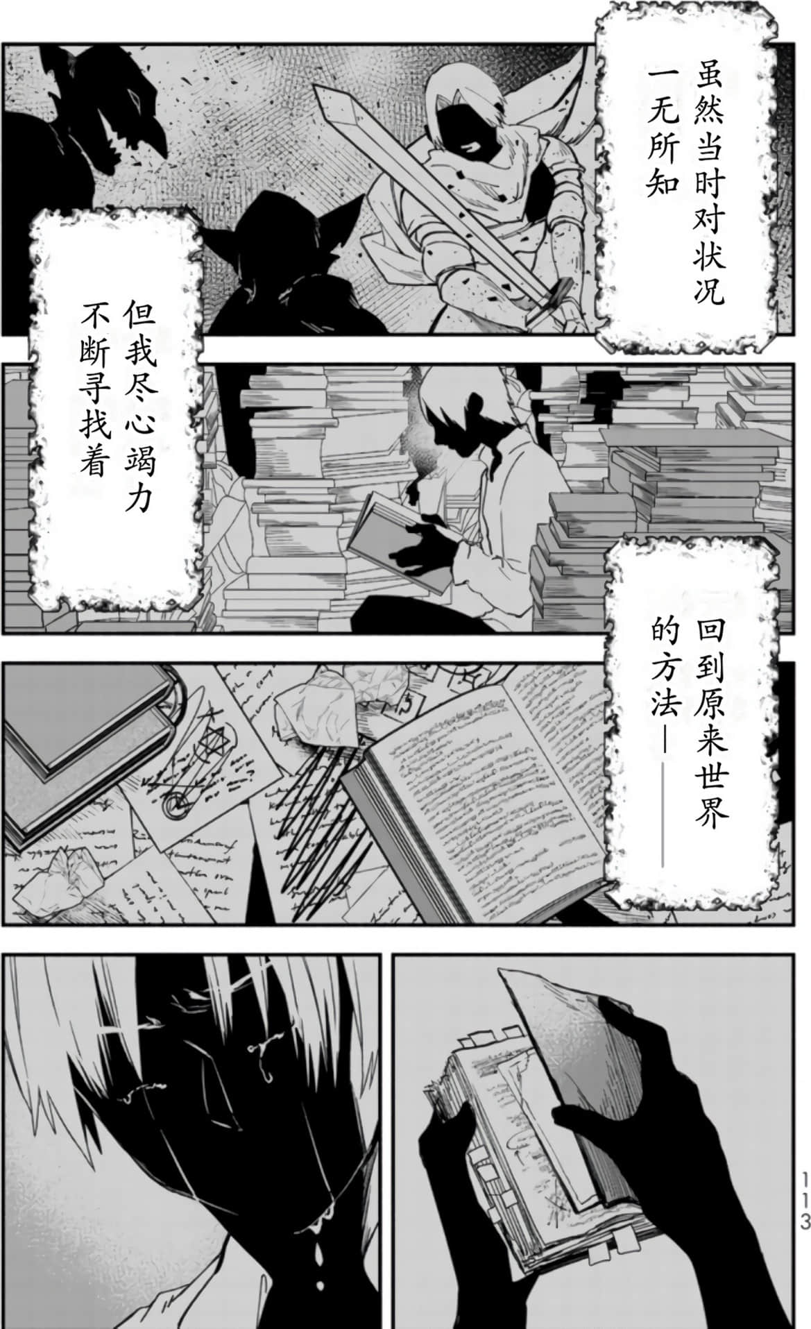 Page 113